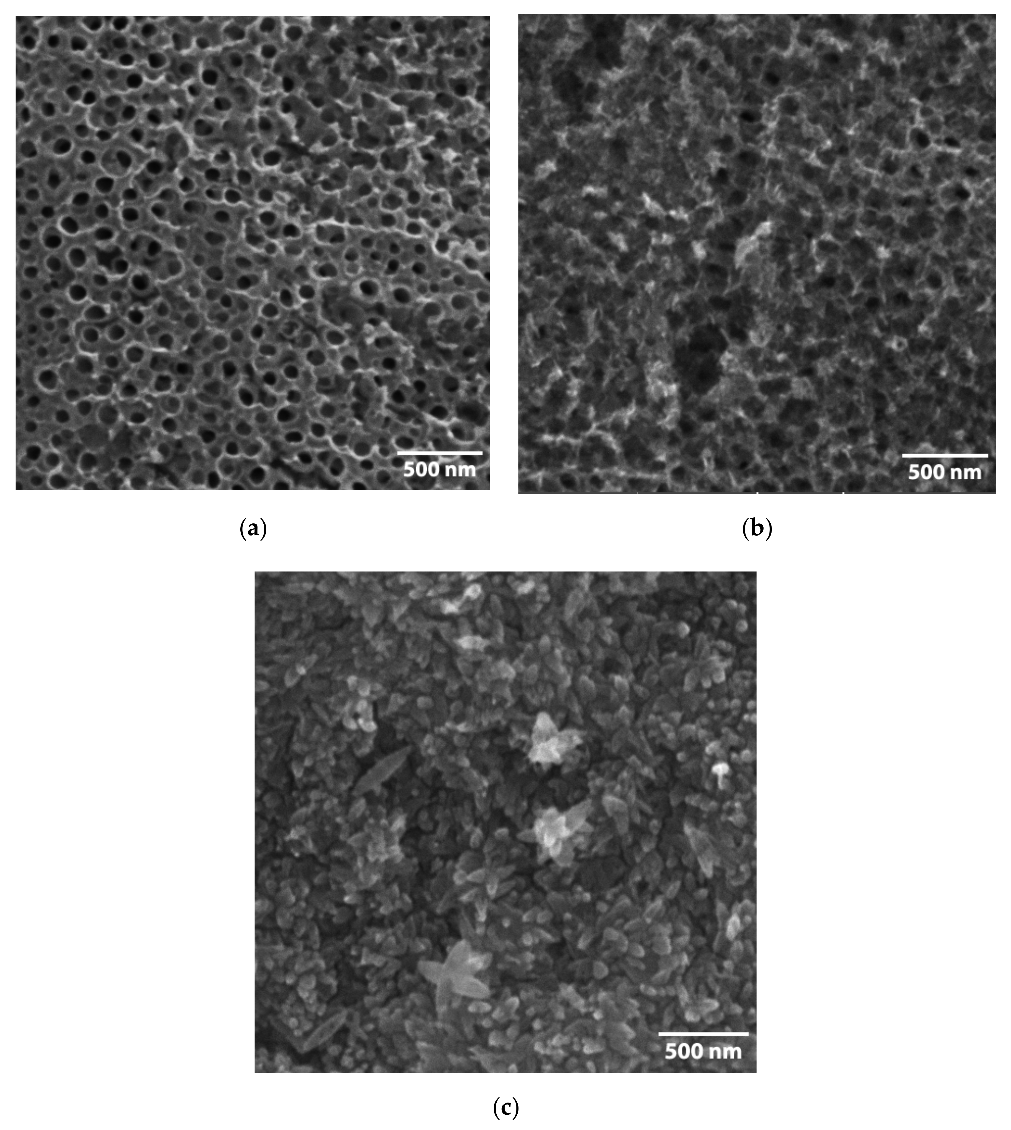 Catalysts 10 01371 g003