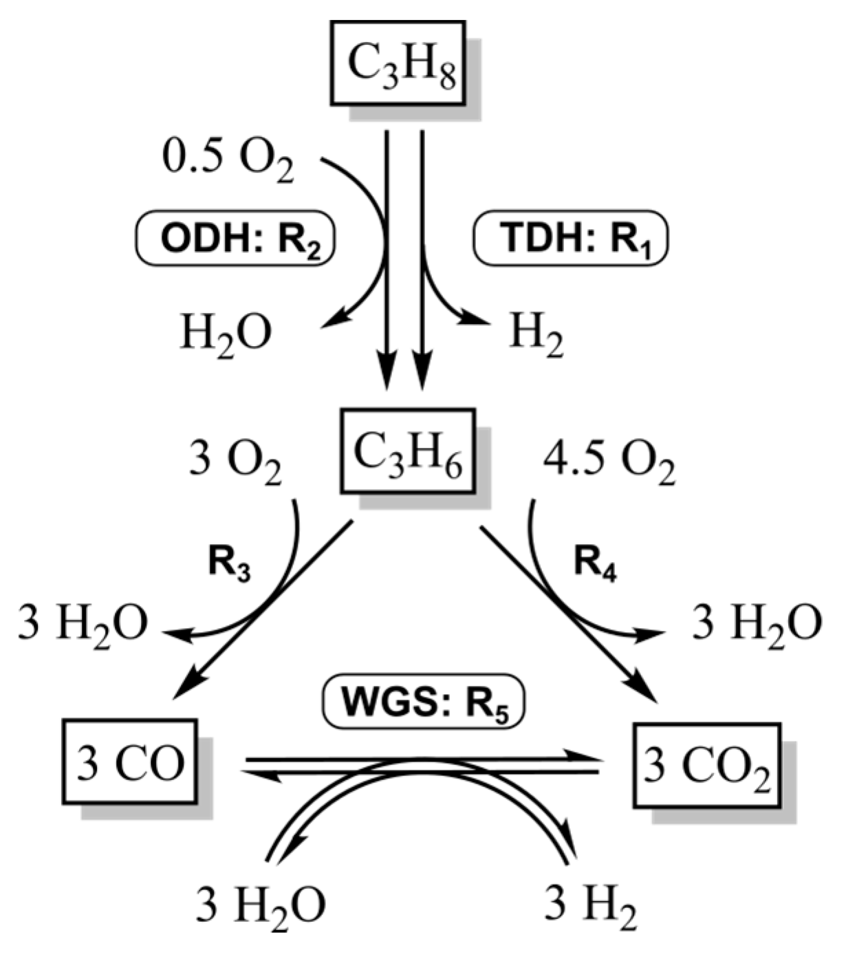 Catalysts 10 01374 g003