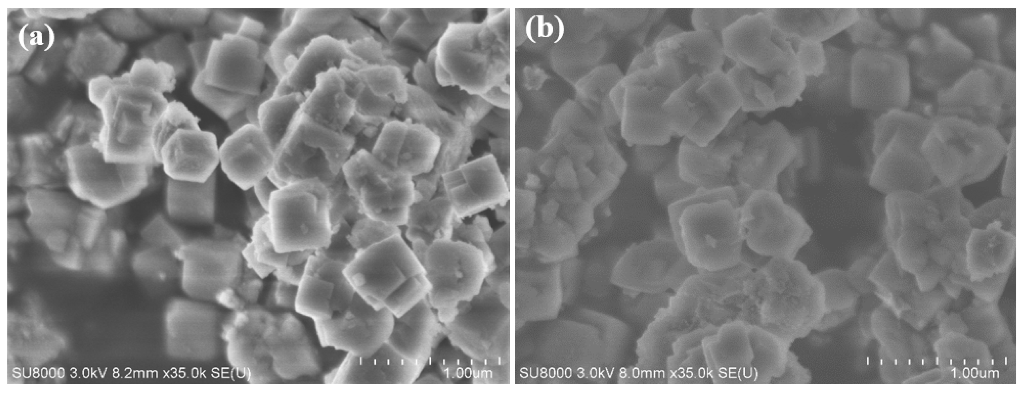 Catalysts 10 01375 g002 Catalysts 10 01375 g002