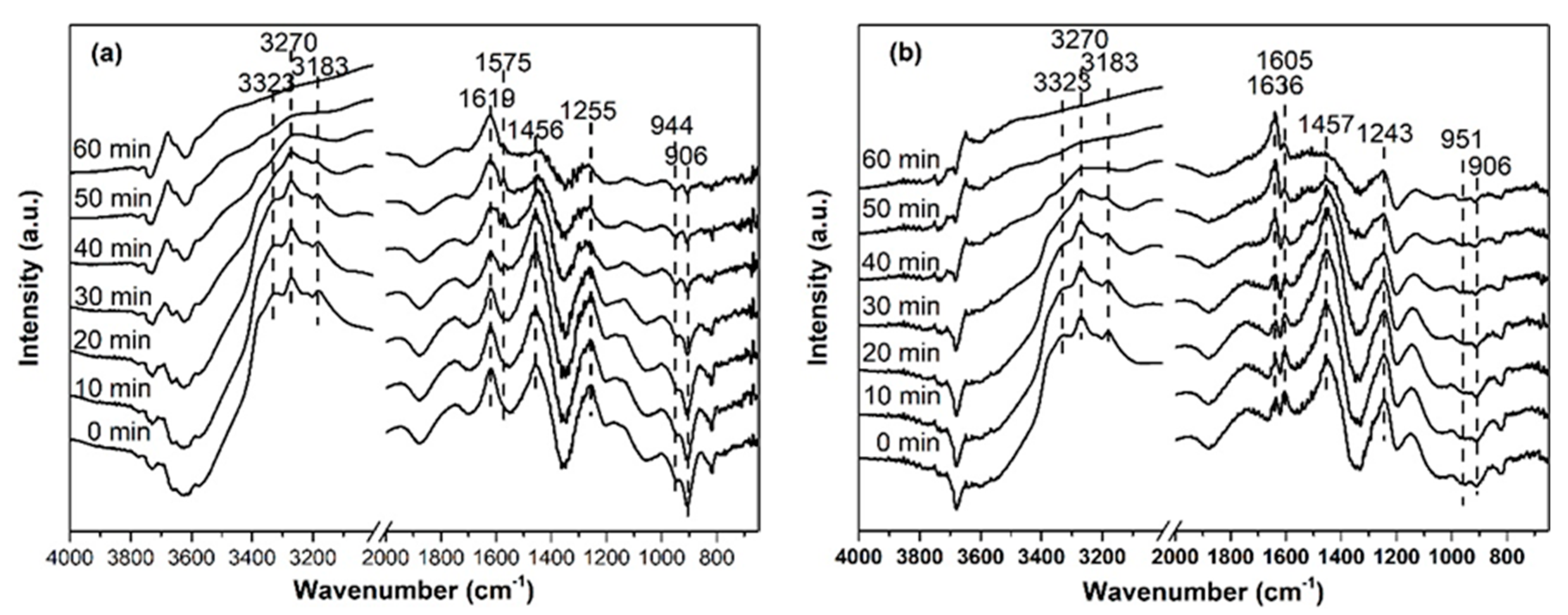 Catalysts 10 01375 g006 Catalysts 10 01375 g006