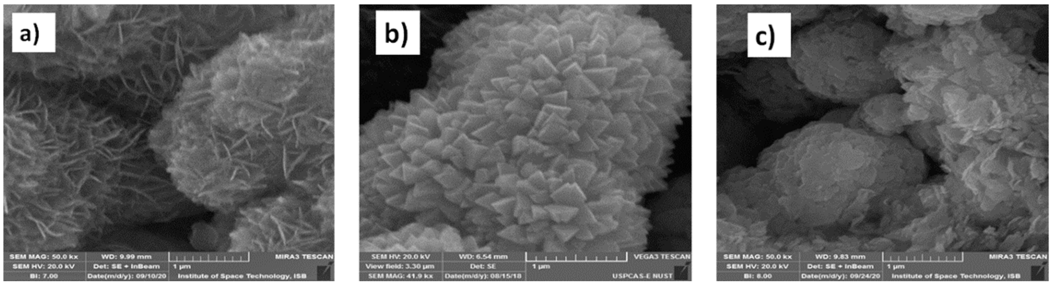 Catalysts 10 01380 g003 Catalysts 10 01380 g003