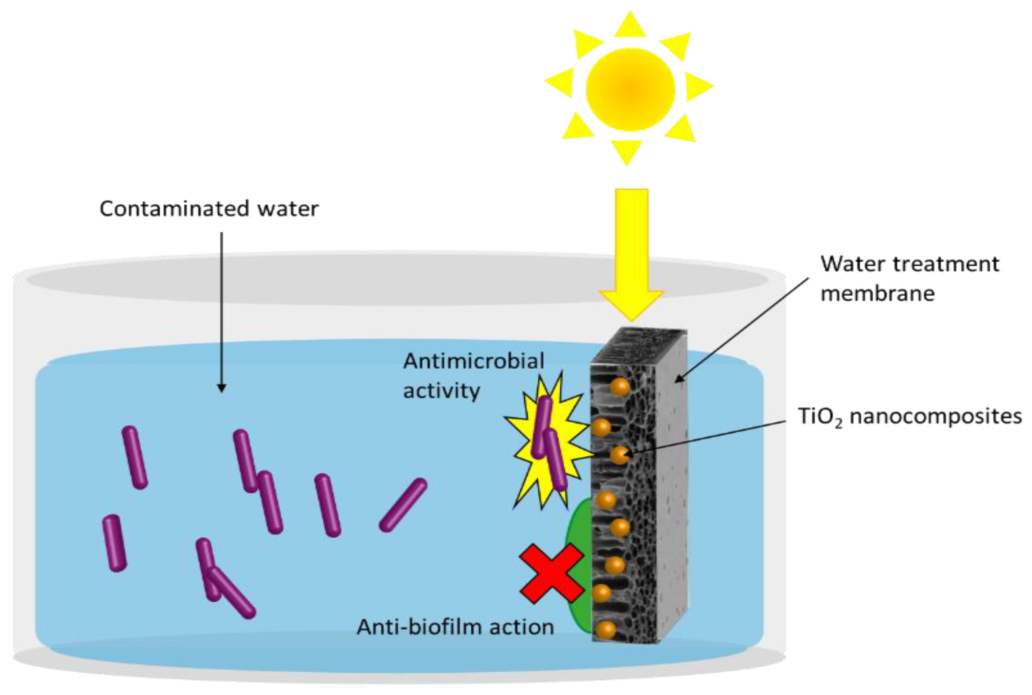 Catalysts 10 01382 g010