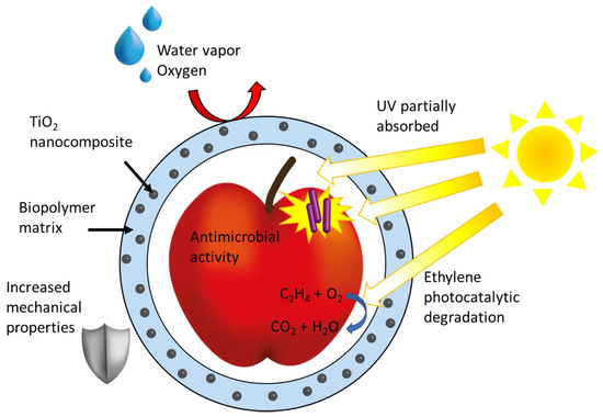 Catalysts 10 01382 g012 550