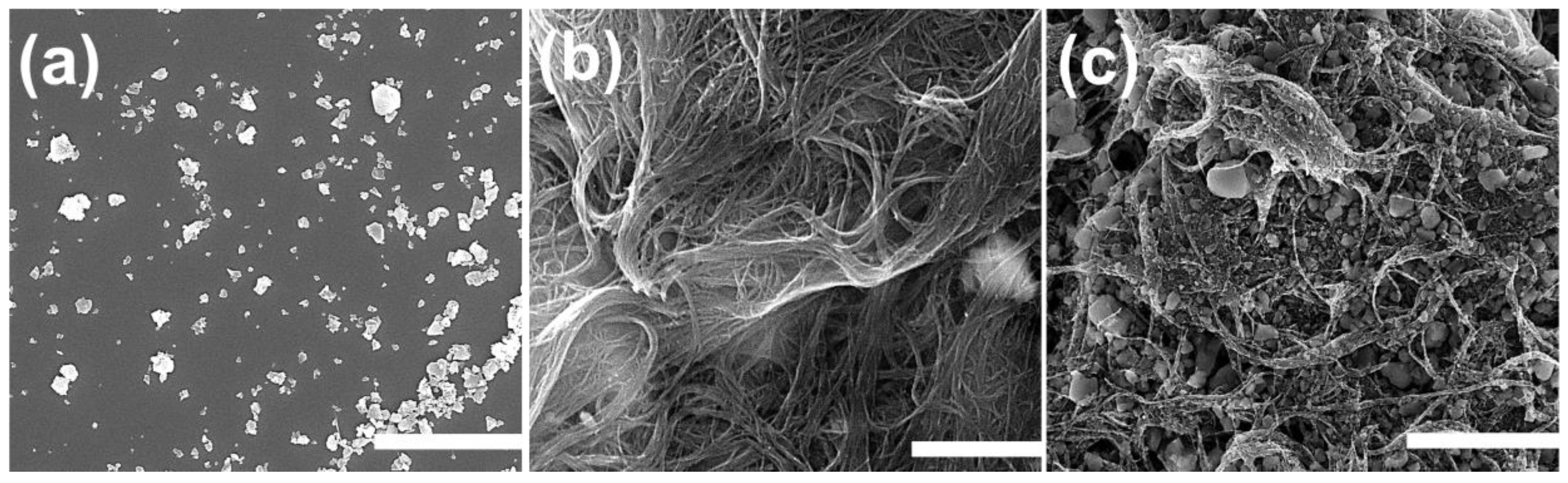 Catalysts 10 01385 g001 Catalysts 10 01385 g001