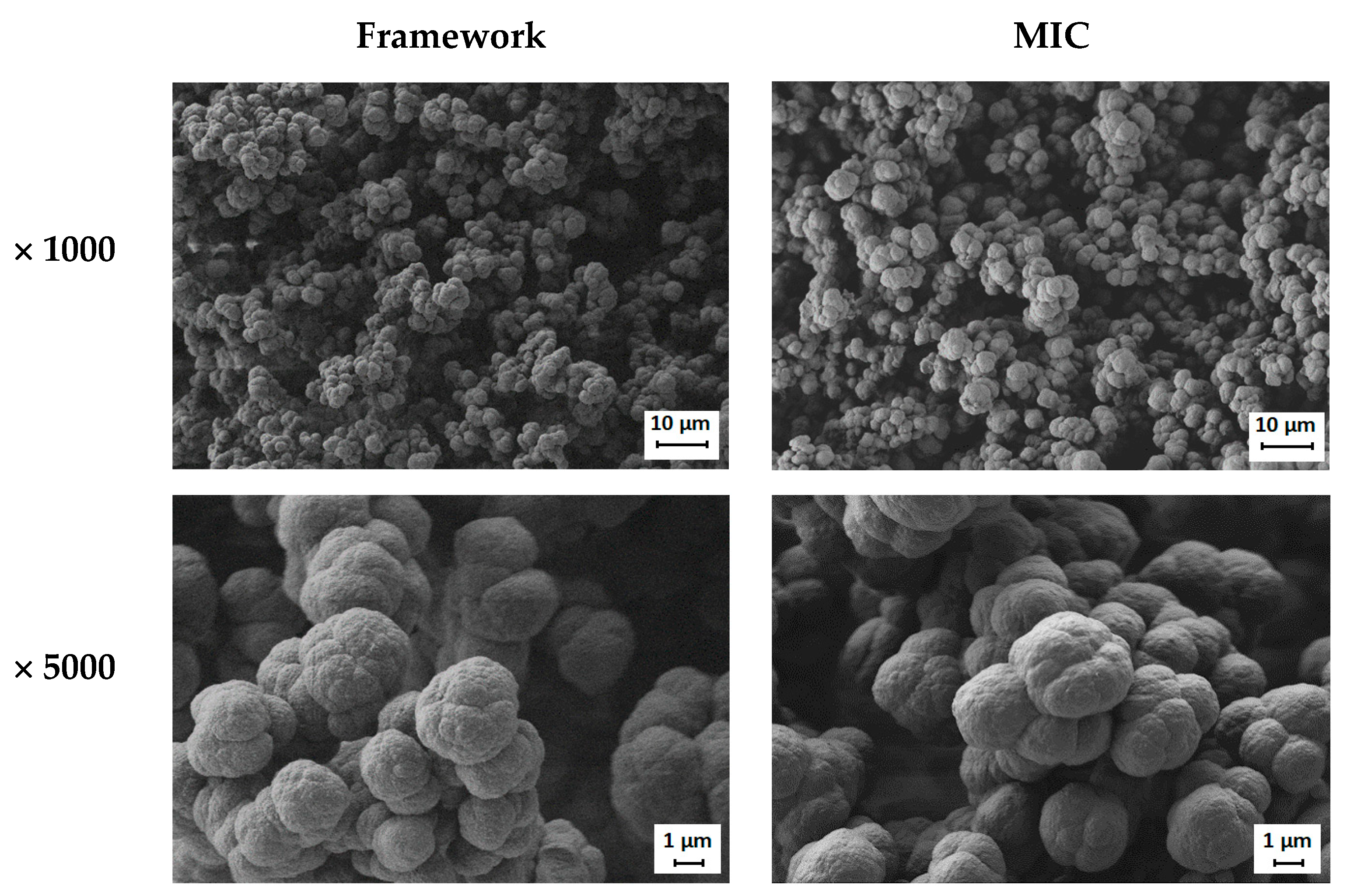 Catalysts 10 01395 g005 Catalysts 10 01395 g005