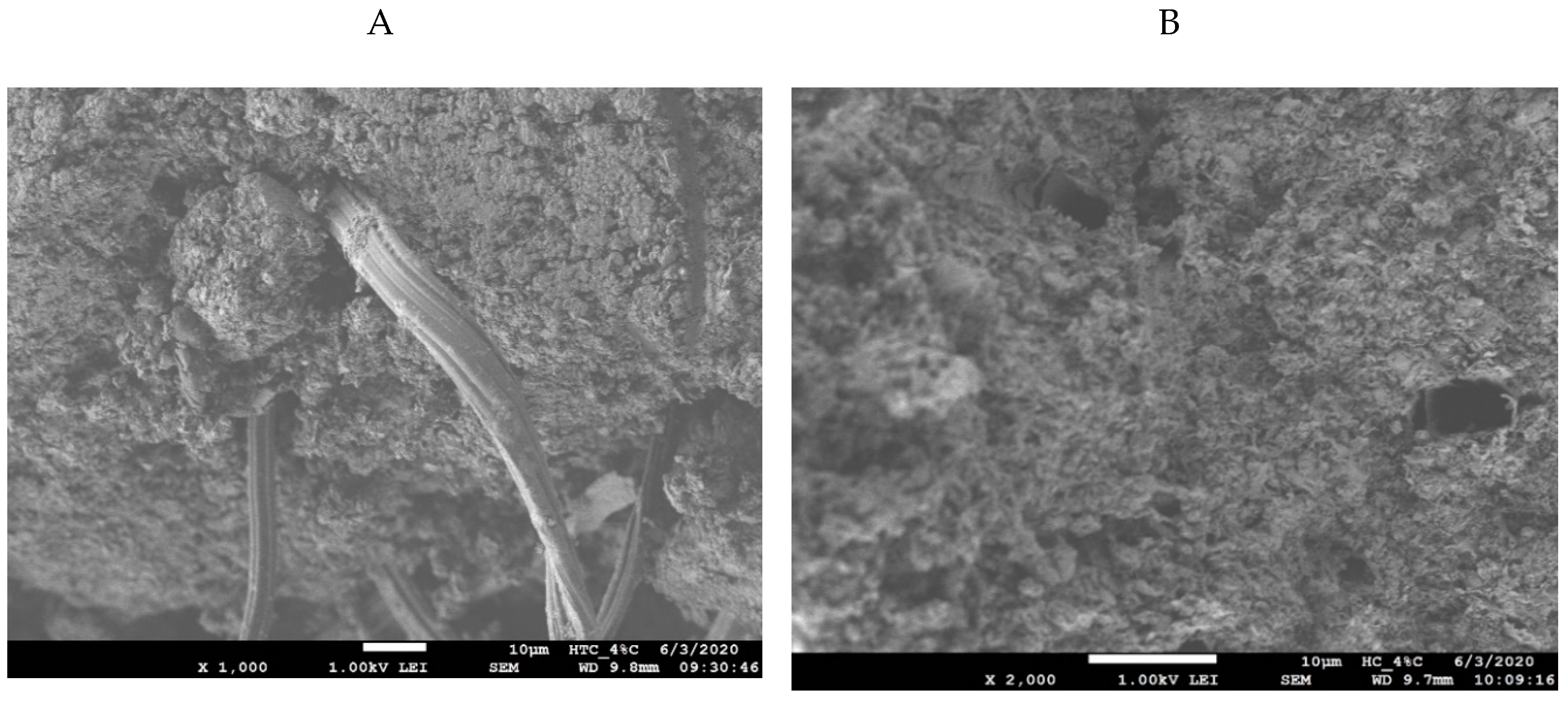 Catalysts 10 01397 g004