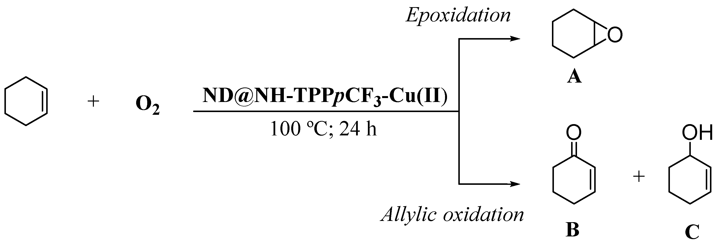 Catalysts 10 01402 sch003