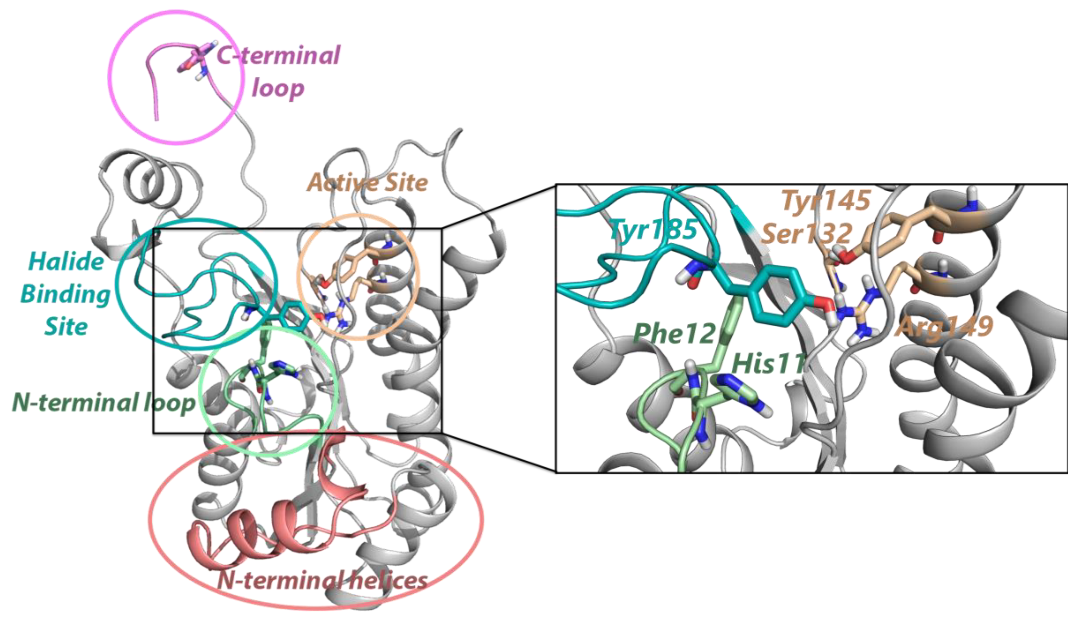 Catalysts 10 01403 g001