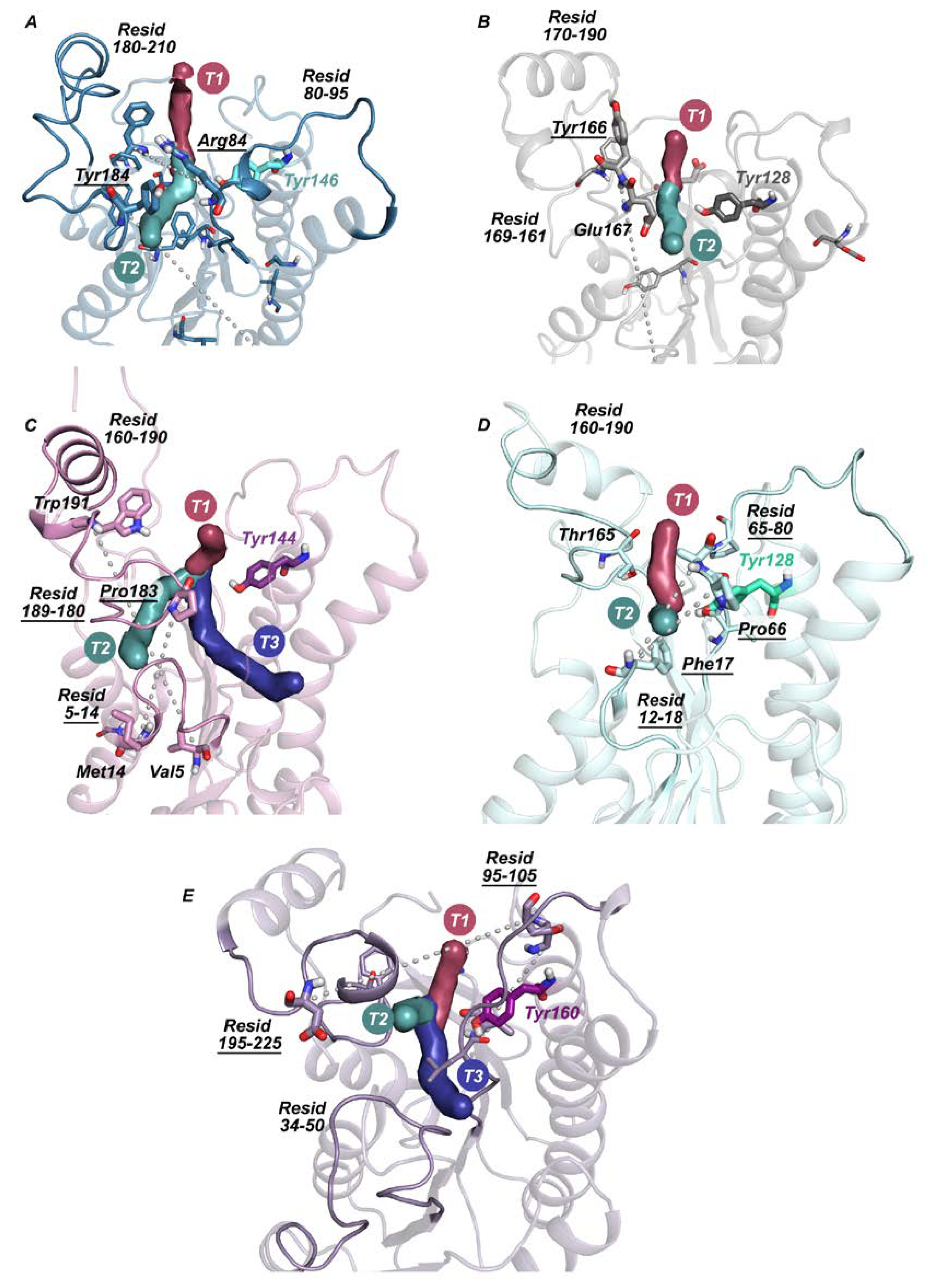 Catalysts 10 01403 g004