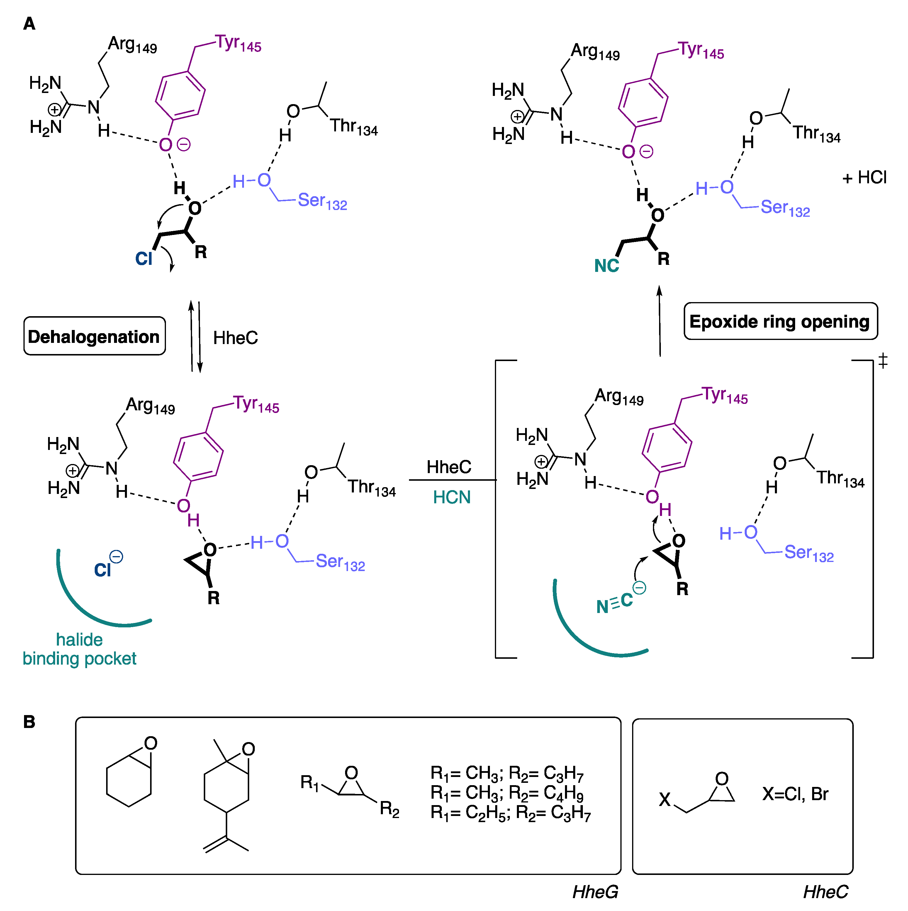 Catalysts 10 01403 sch001