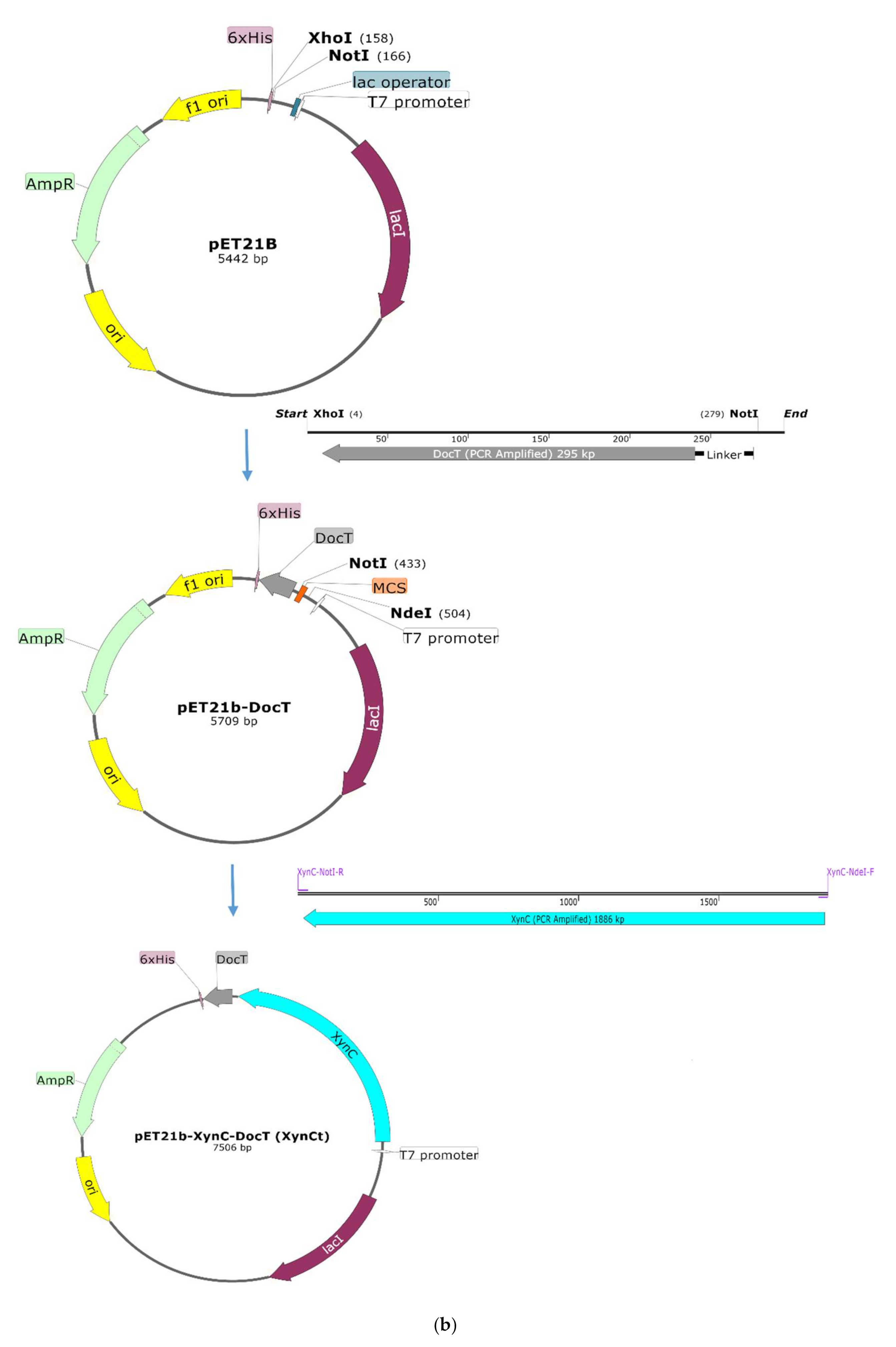 Catalysts 10 01408 g002b Catalysts 10 01408 g002b