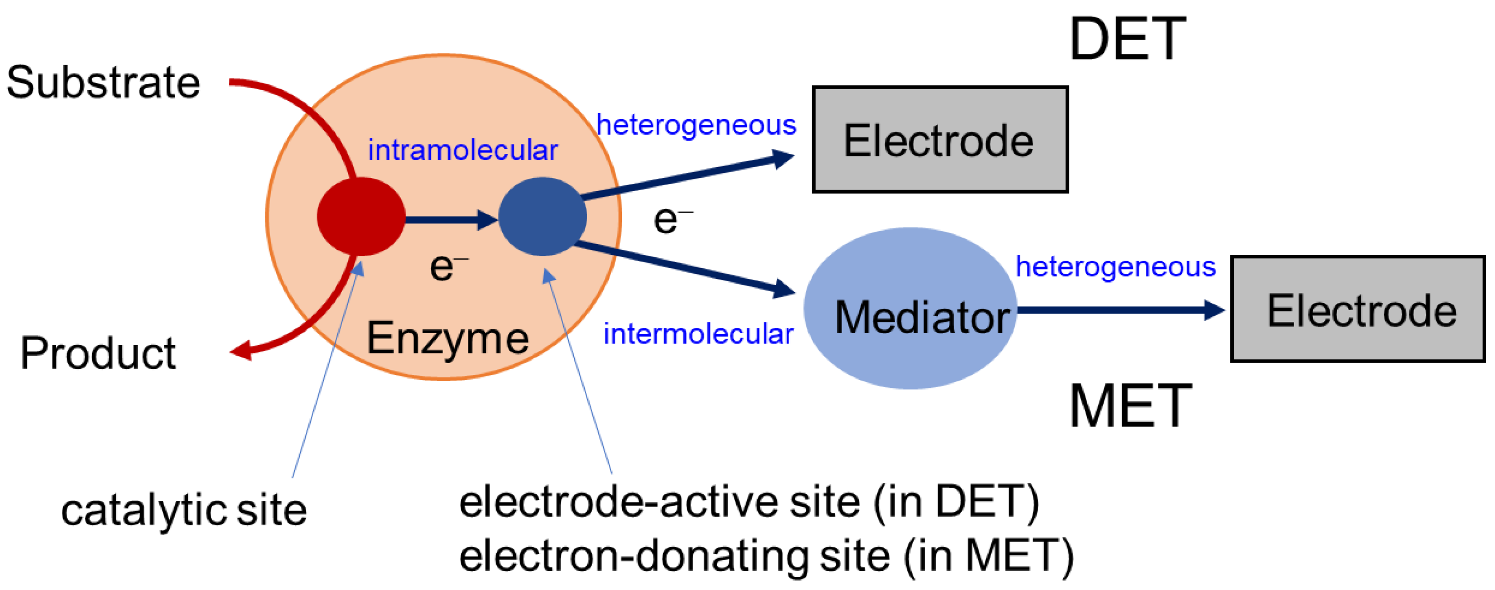 Catalysts 10 01413 g001