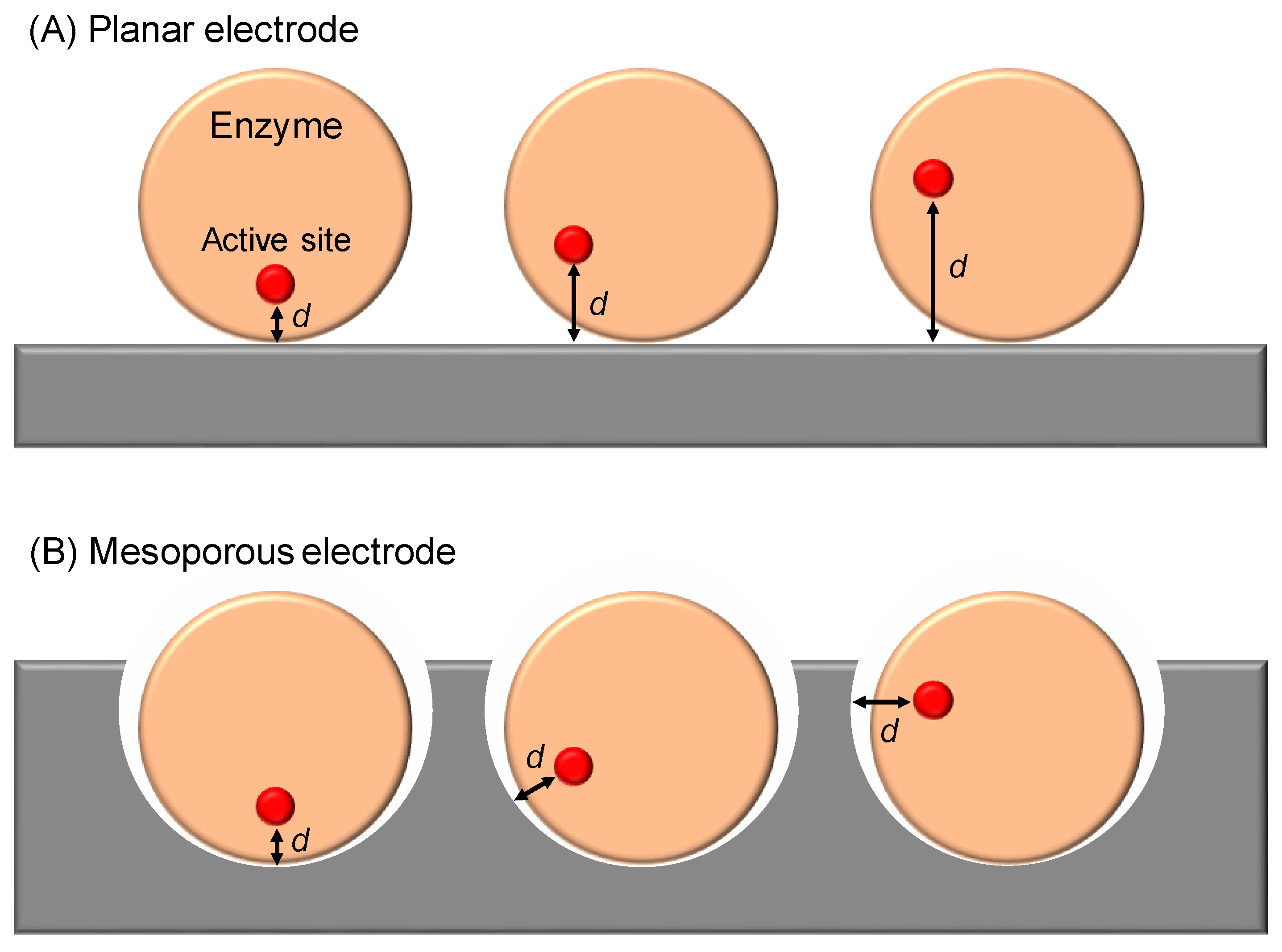Catalysts 10 01413 g002