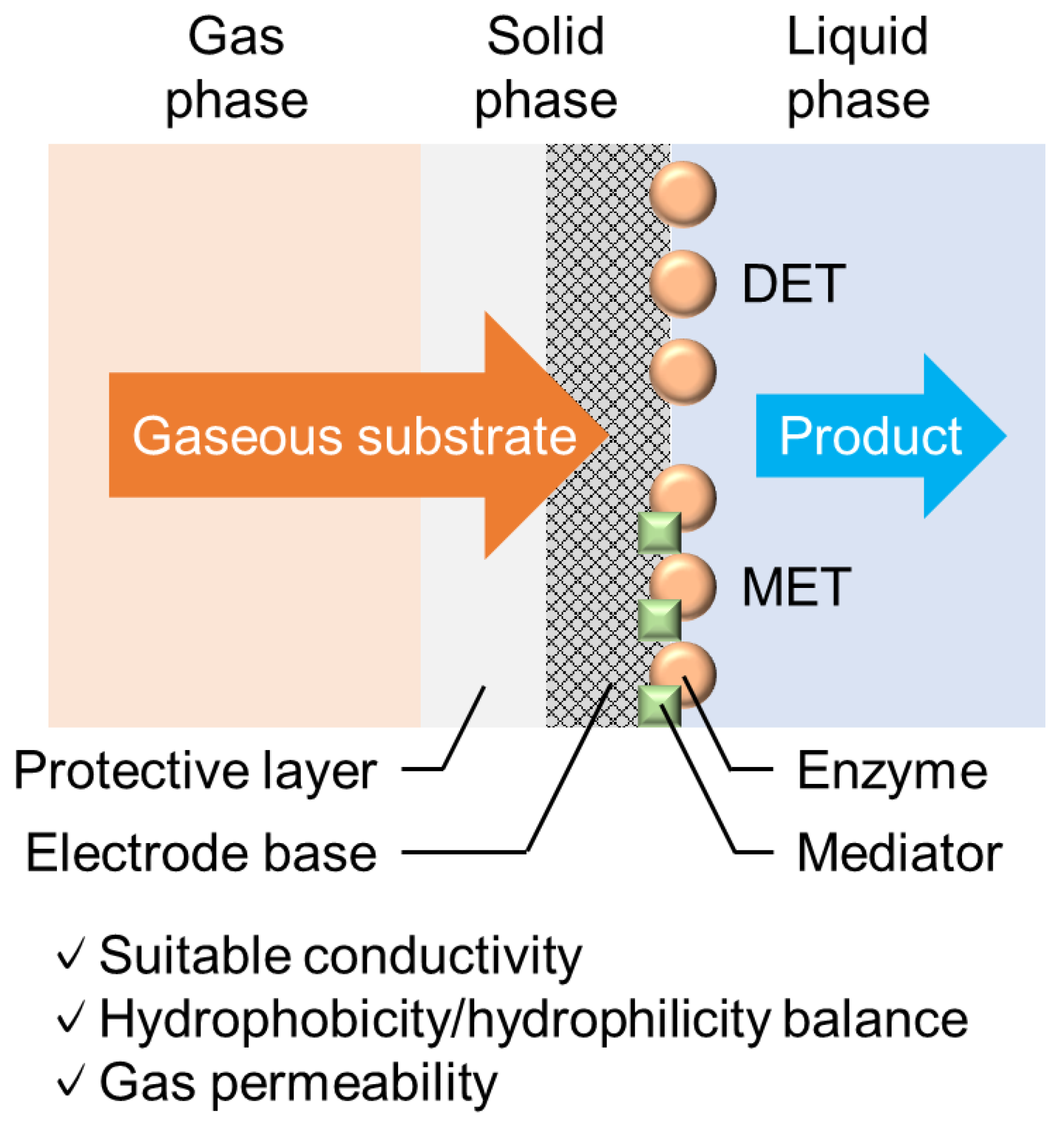 Catalysts 10 01413 g003