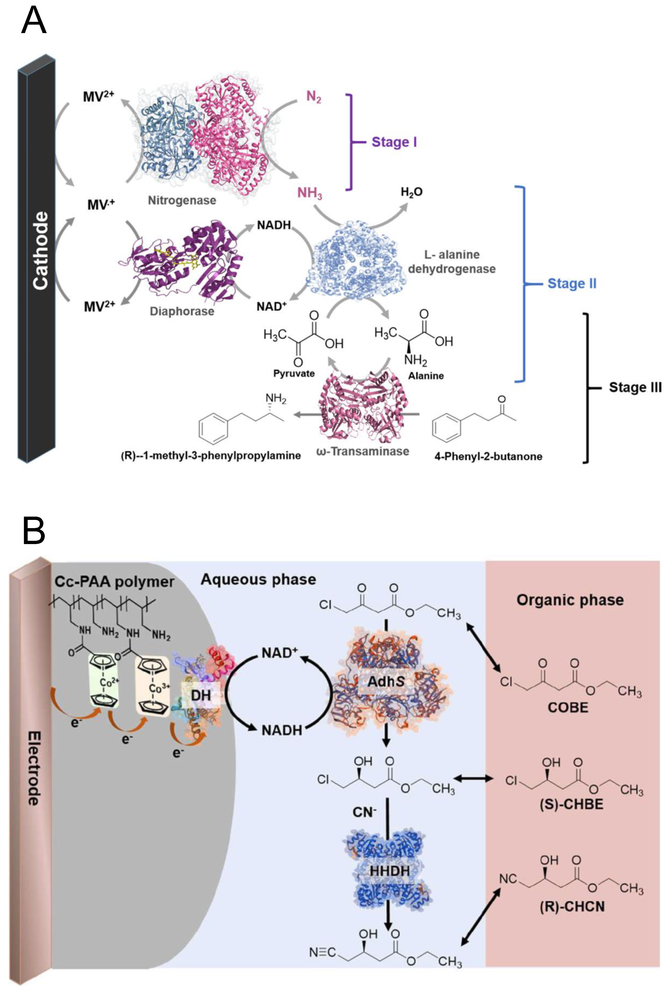 Catalysts 10 01413 g005