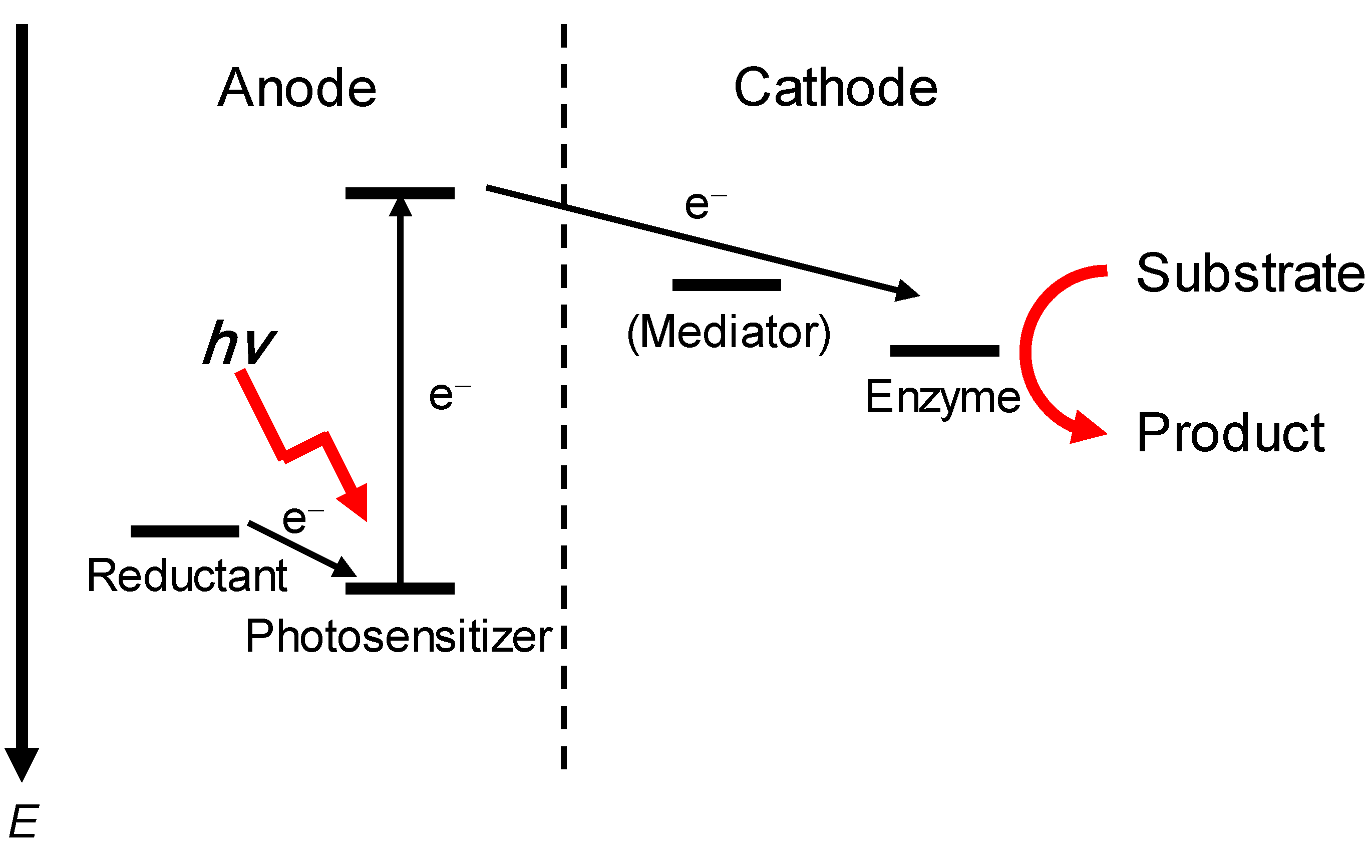Catalysts 10 01413 g006