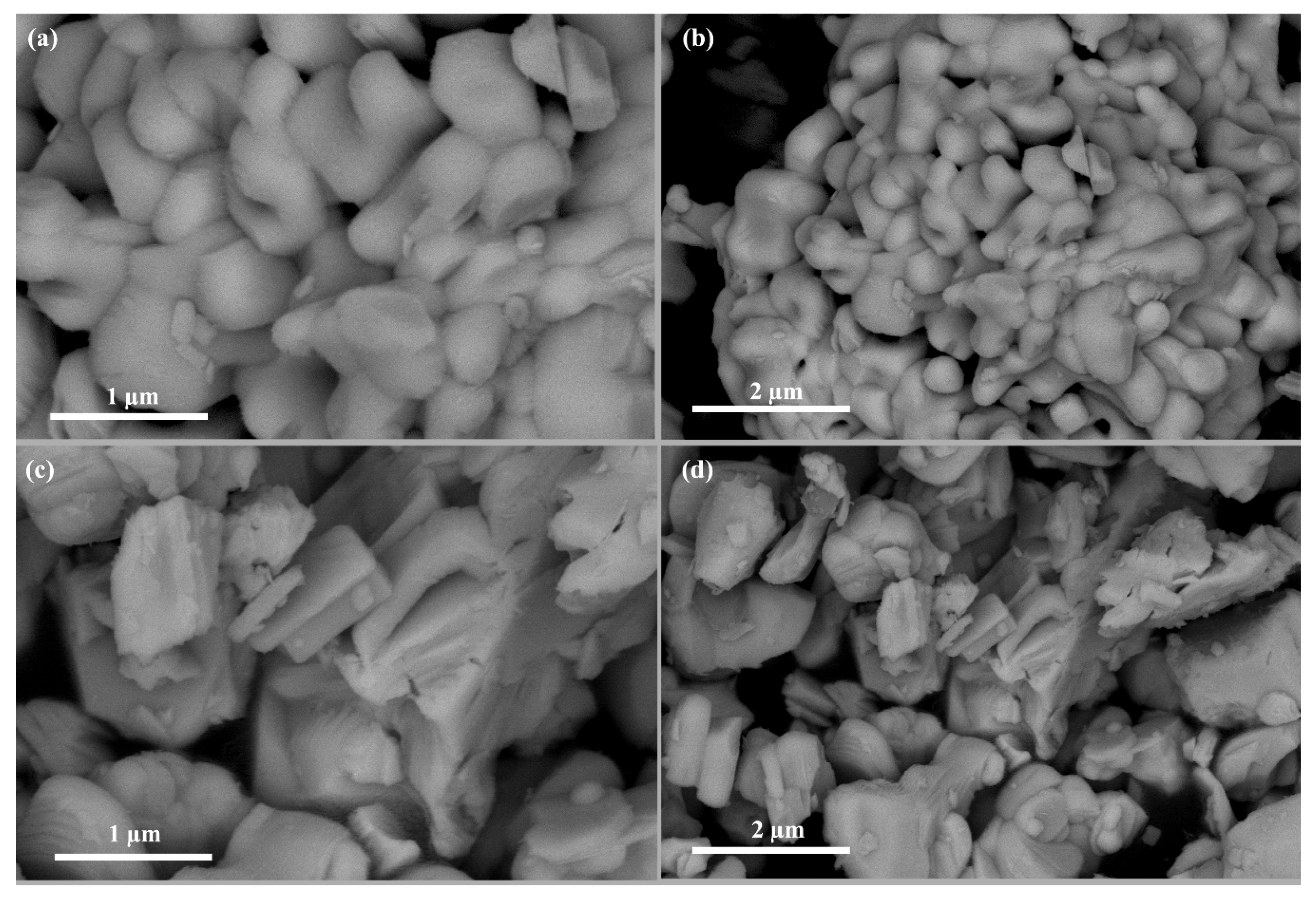 Catalysts 10 01425 g002