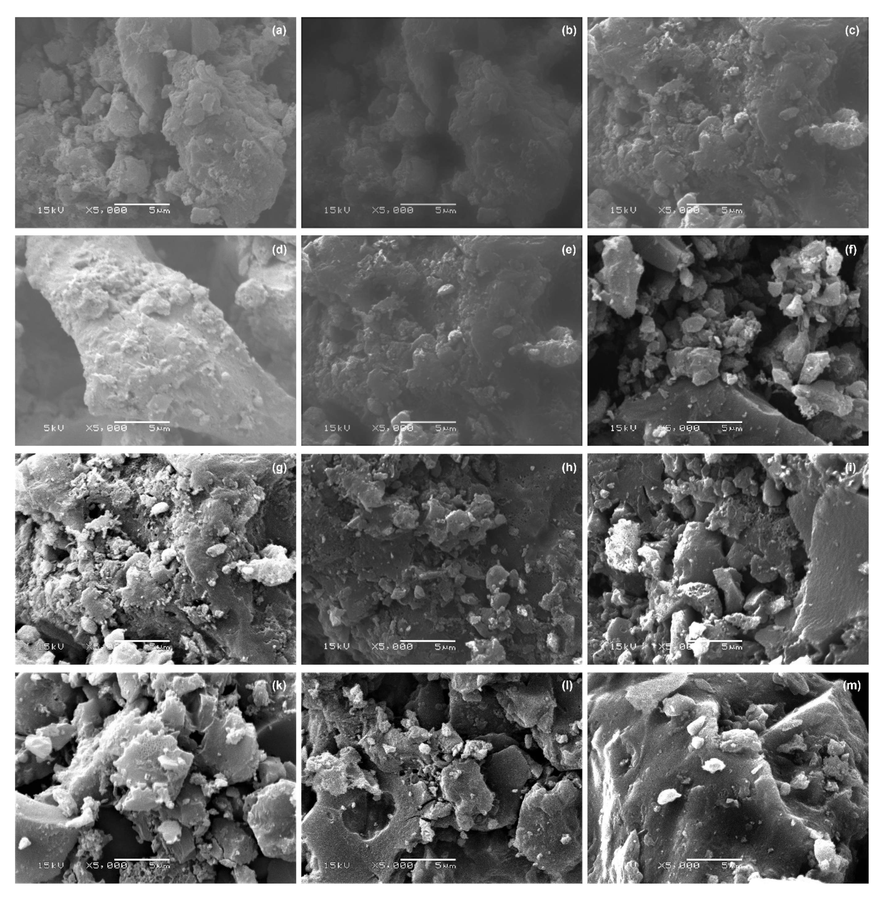 Catalysts 10 01426 g004