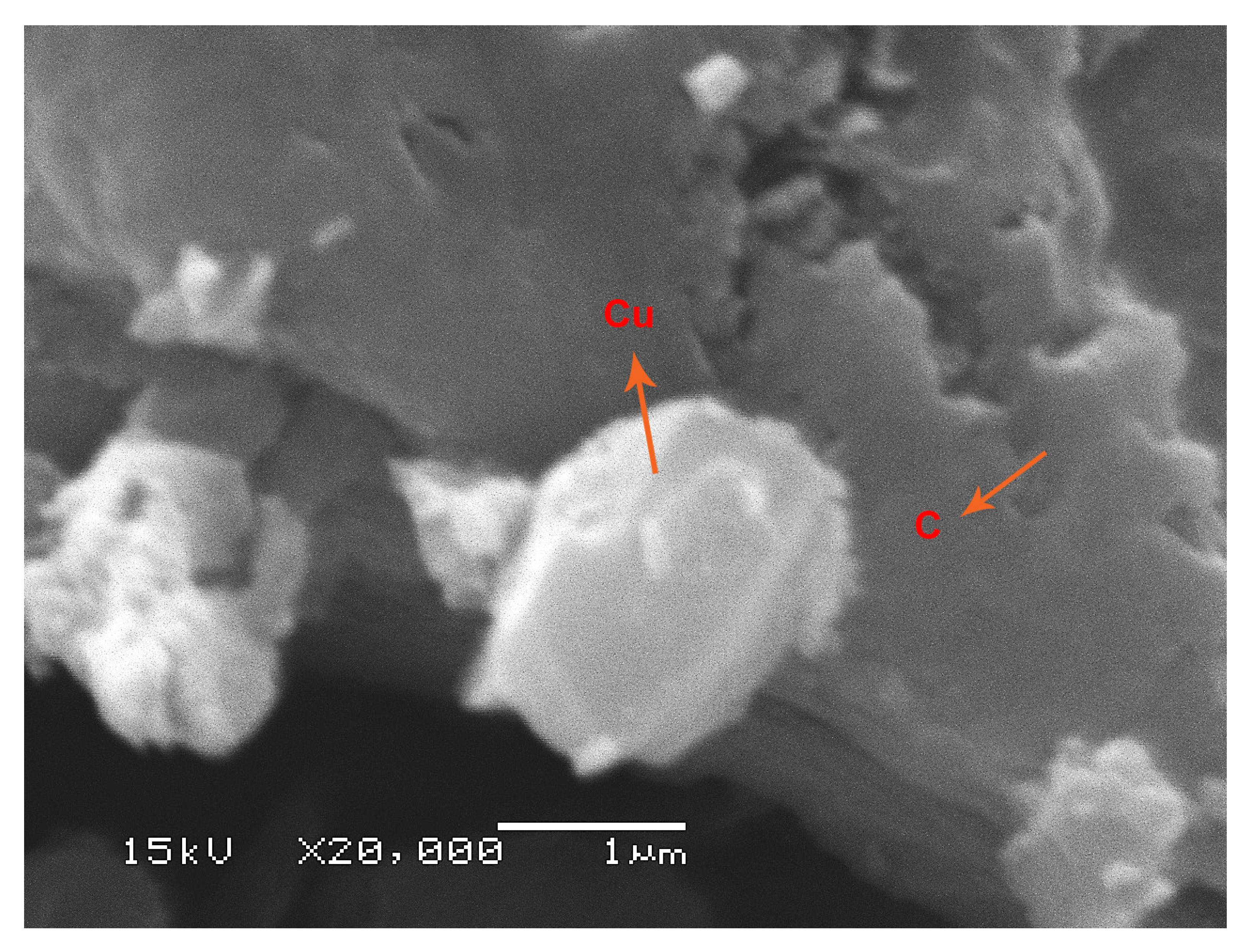 Catalysts 10 01426 g005
