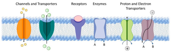 Catalysts 10 01427 g001 550