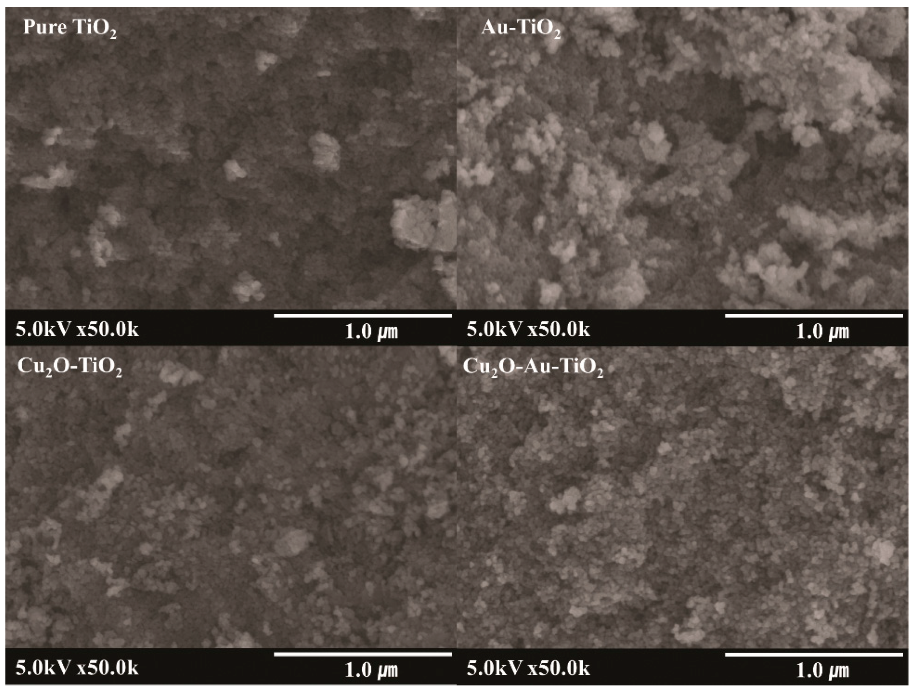 Catalysts 10 01434 g002