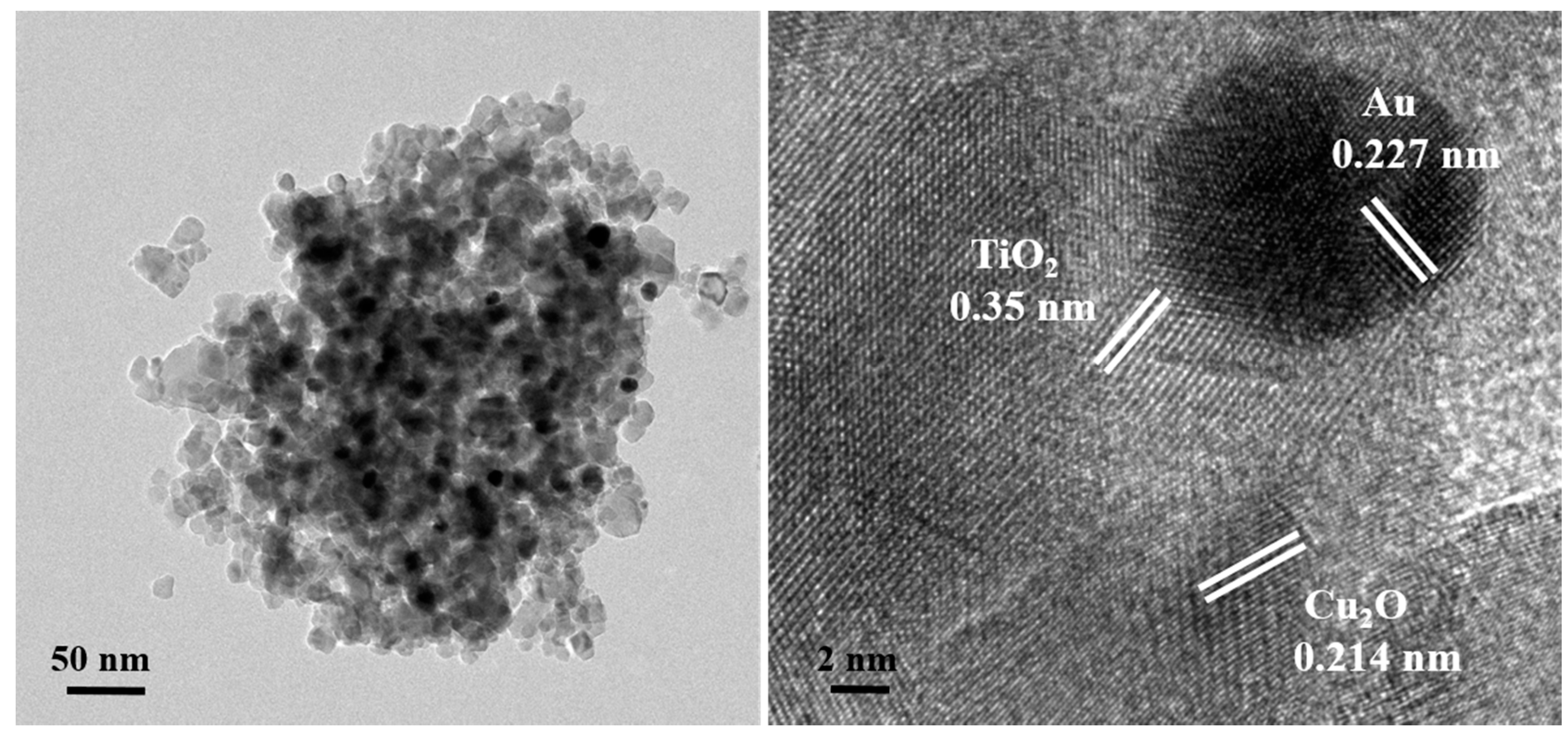 Catalysts 10 01434 g004