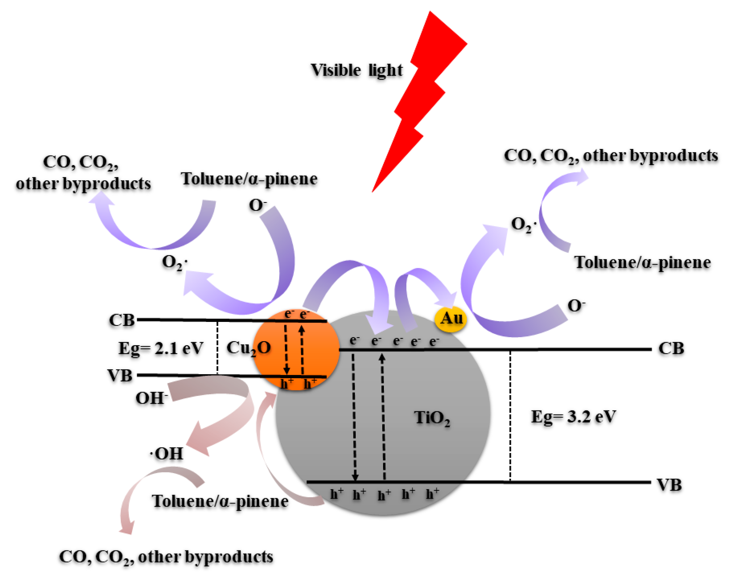 Catalysts 10 01434 g011