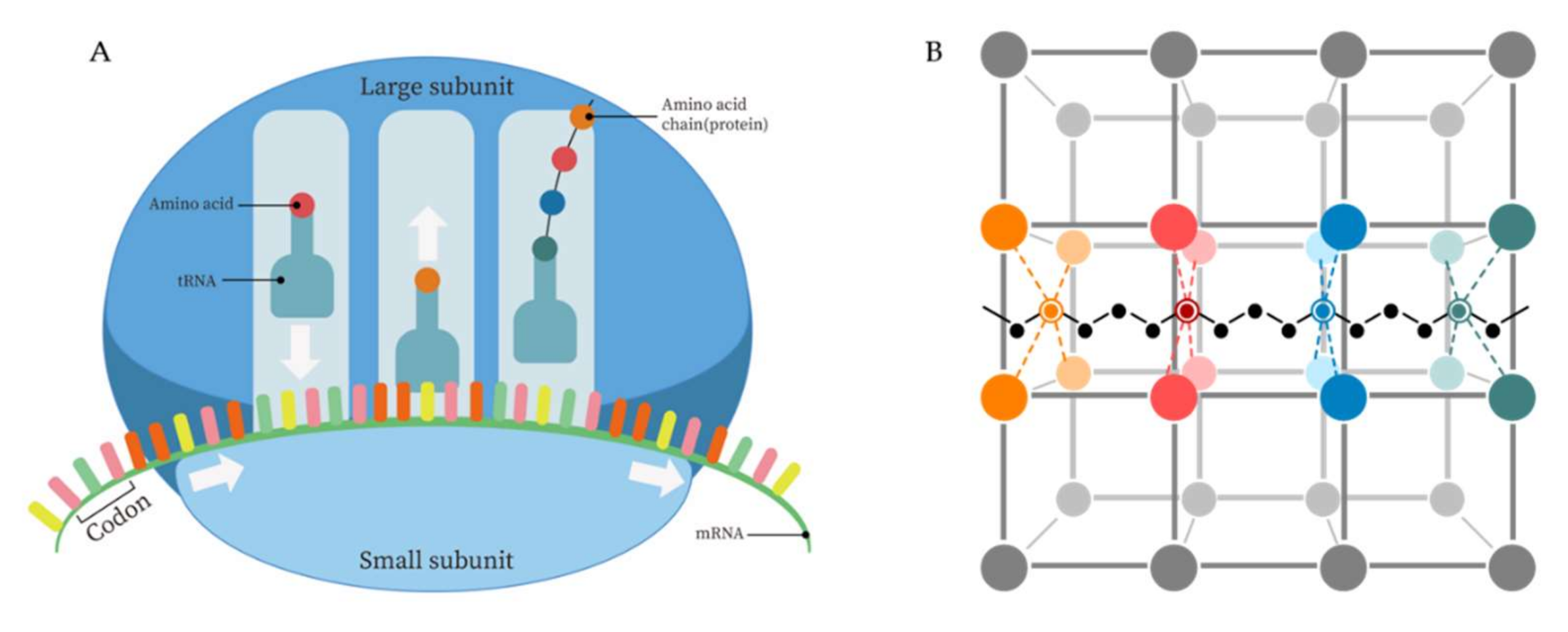 Catalysts | Free Full-Text | Recent Advances in the Application of 