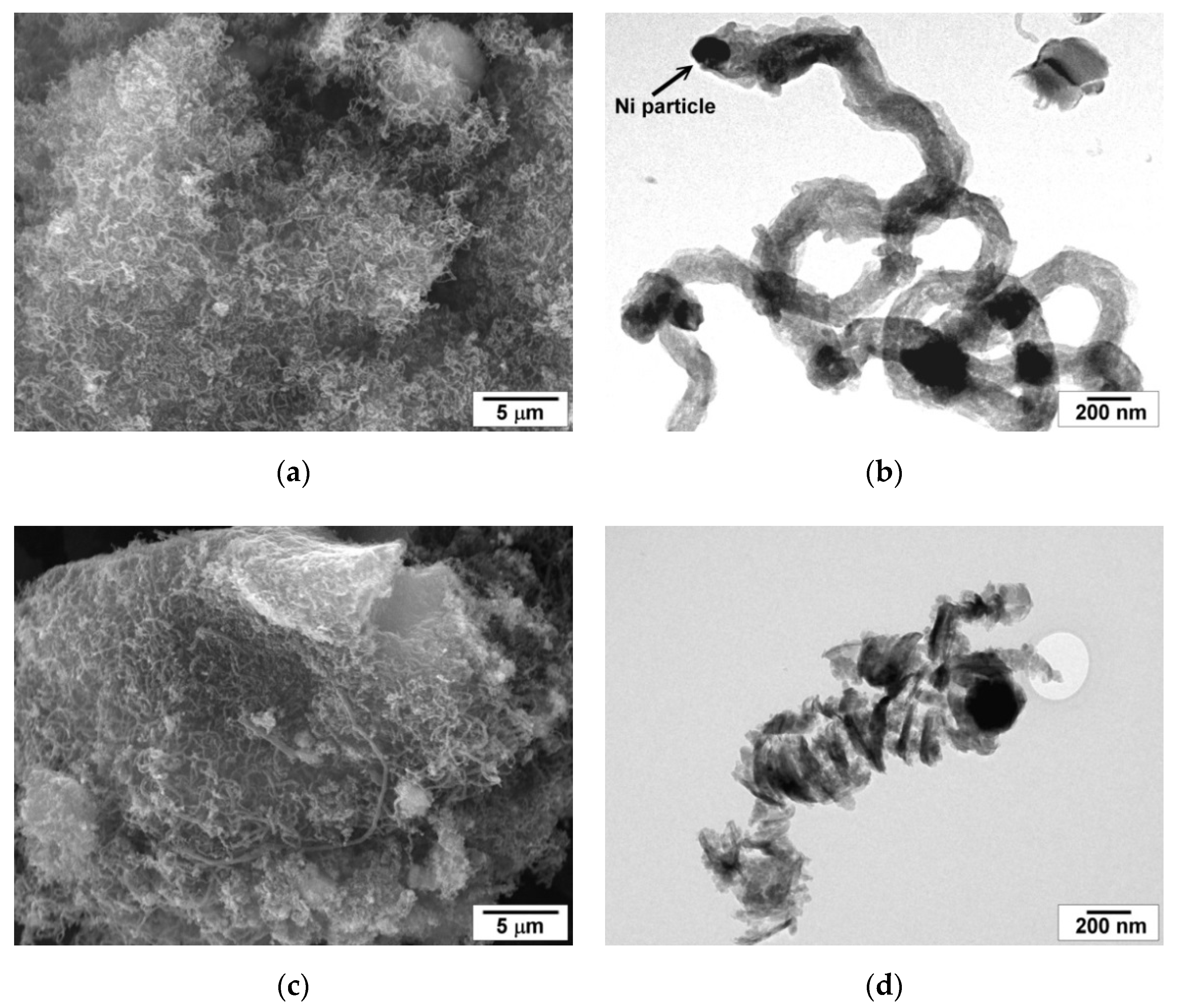 Catalysts 10 01446 g008