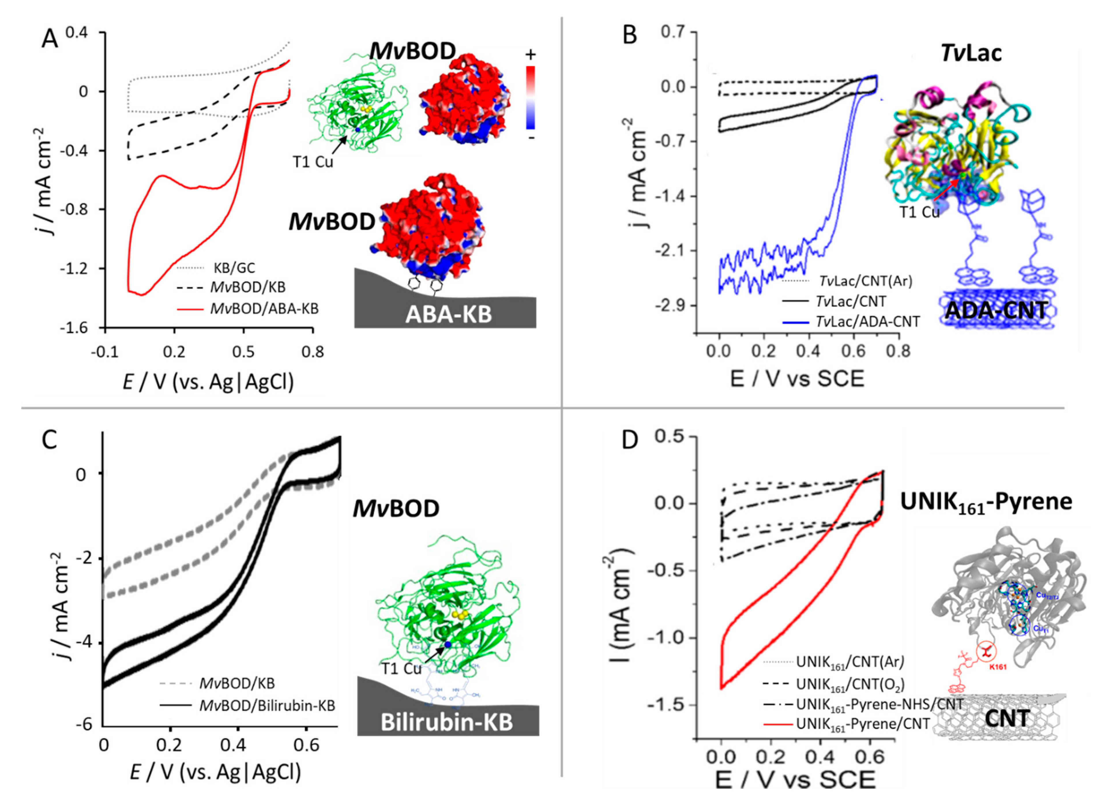 Catalysts 10 01447 g005