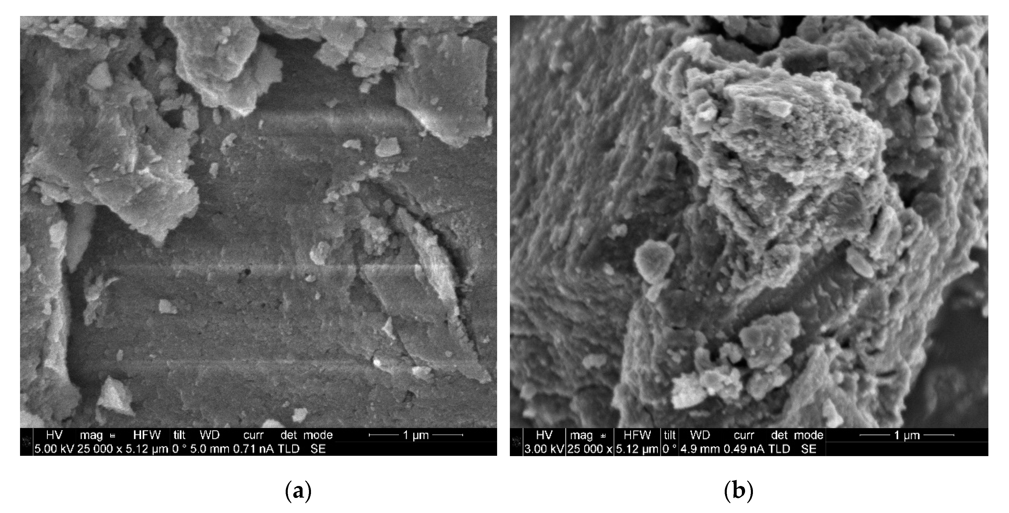 Catalysts 10 01449 g005a