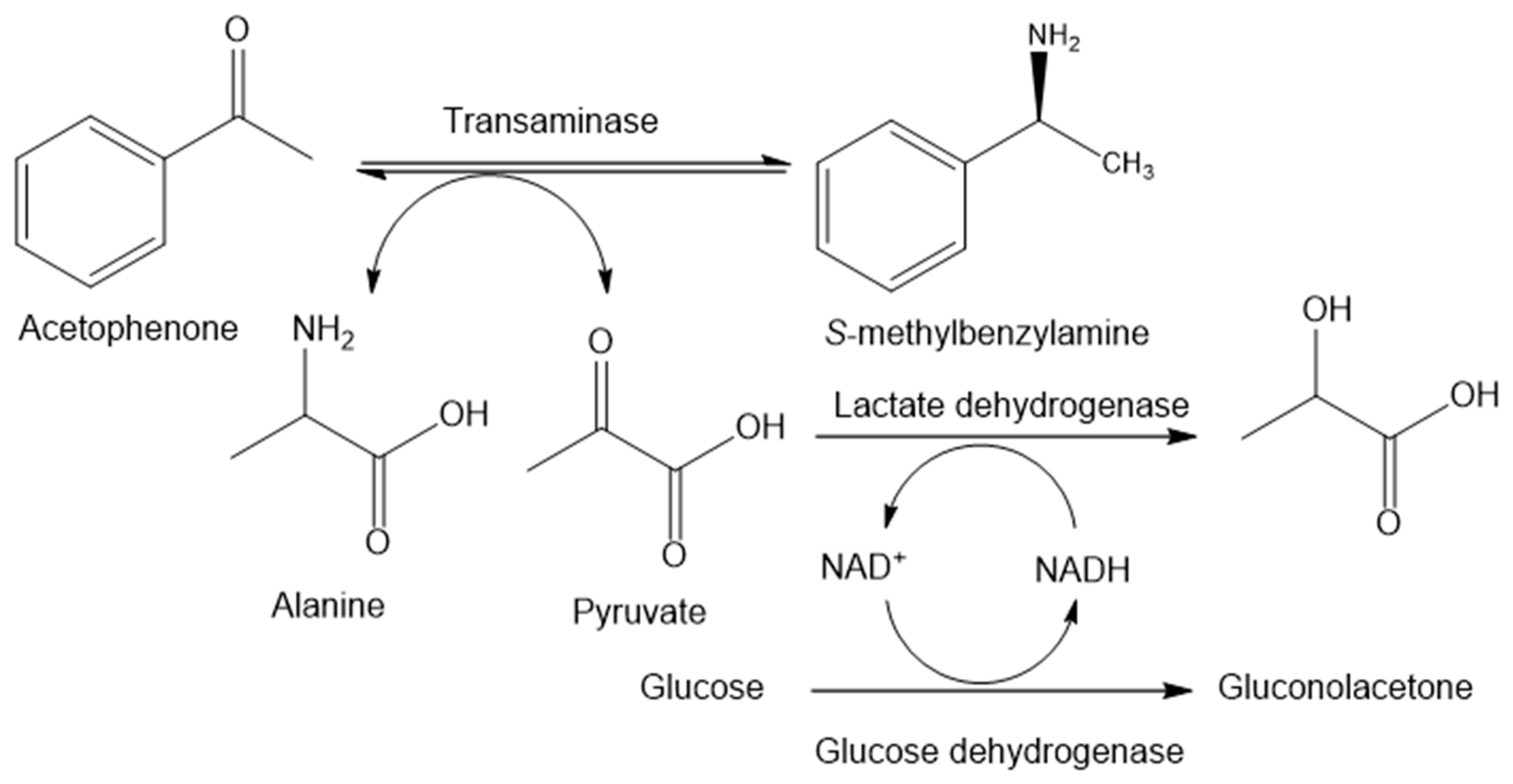 Catalysts 10 01451 g001