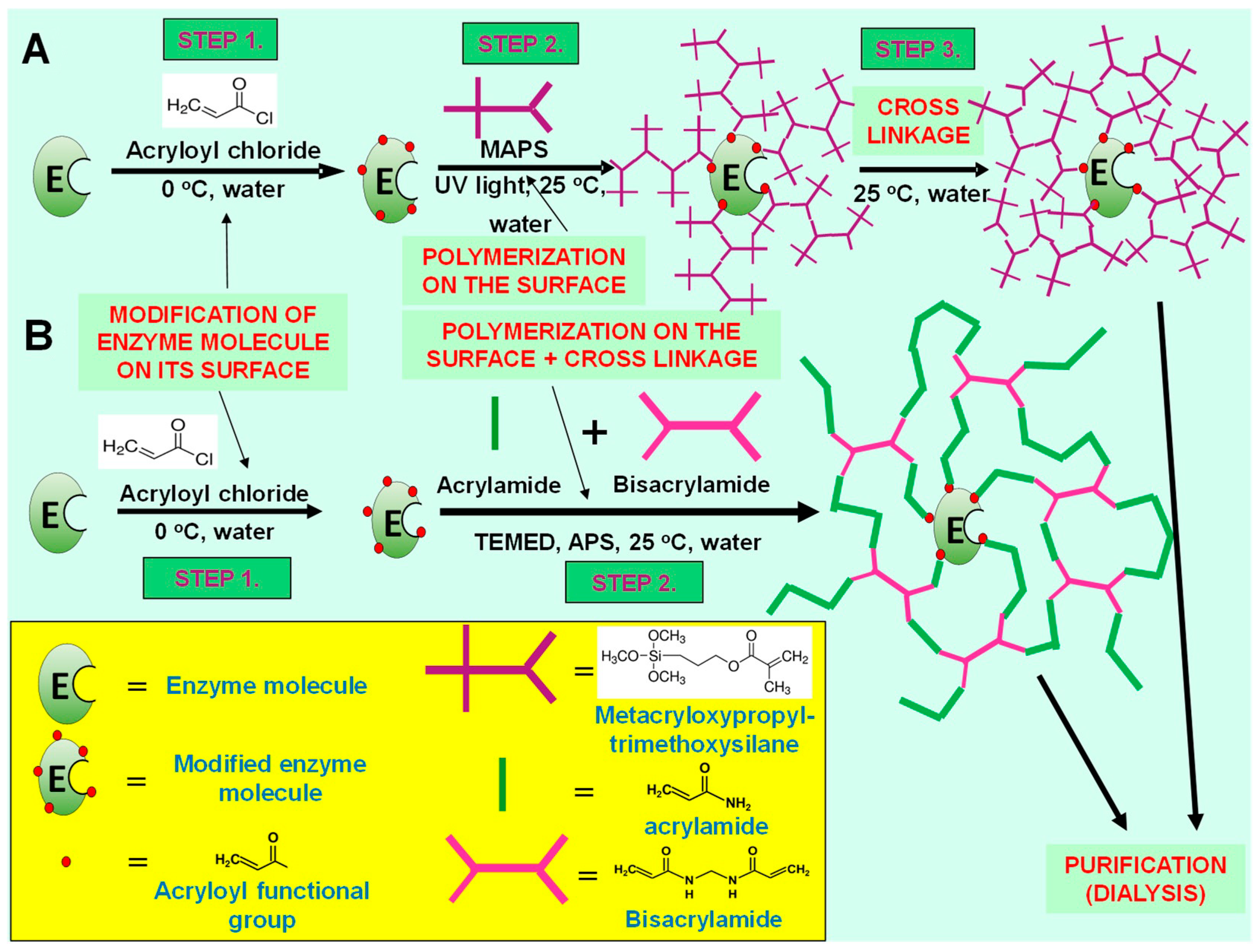 Catalysts 10 01454 g001