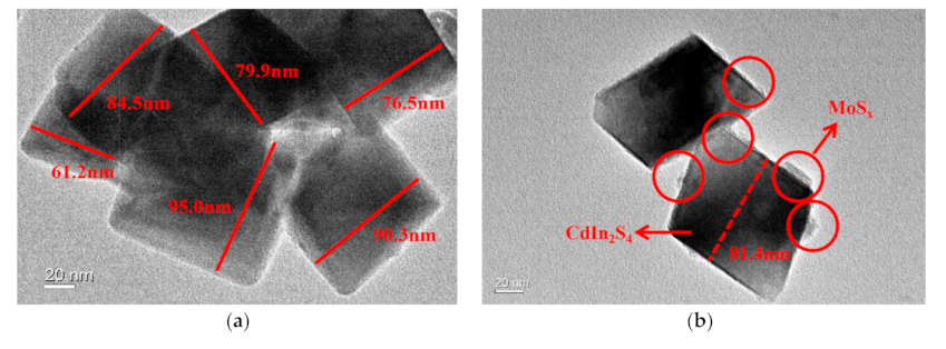 Catalysts 10 01455 g006a