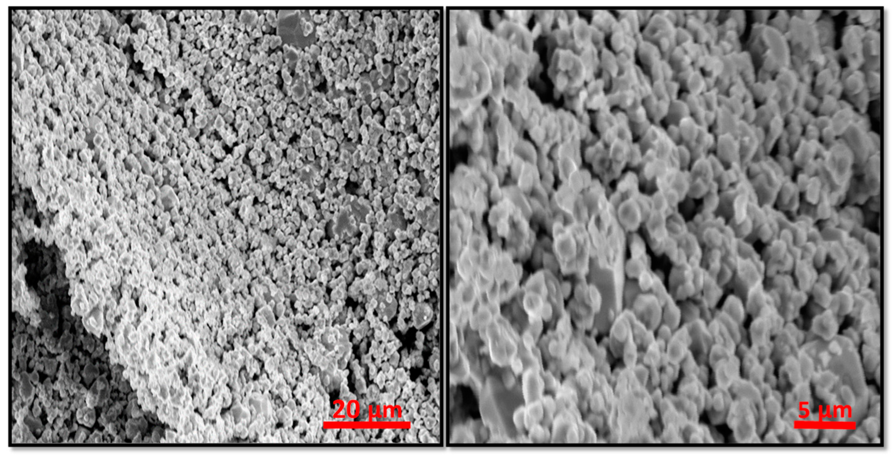 Catalysts 10 01461 g002