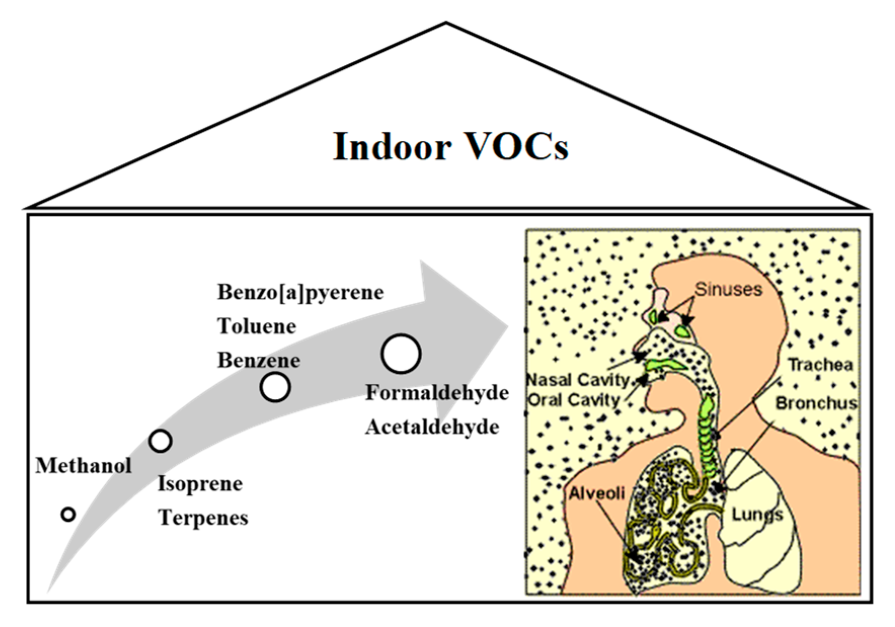 Catalysts 10 01464 g001