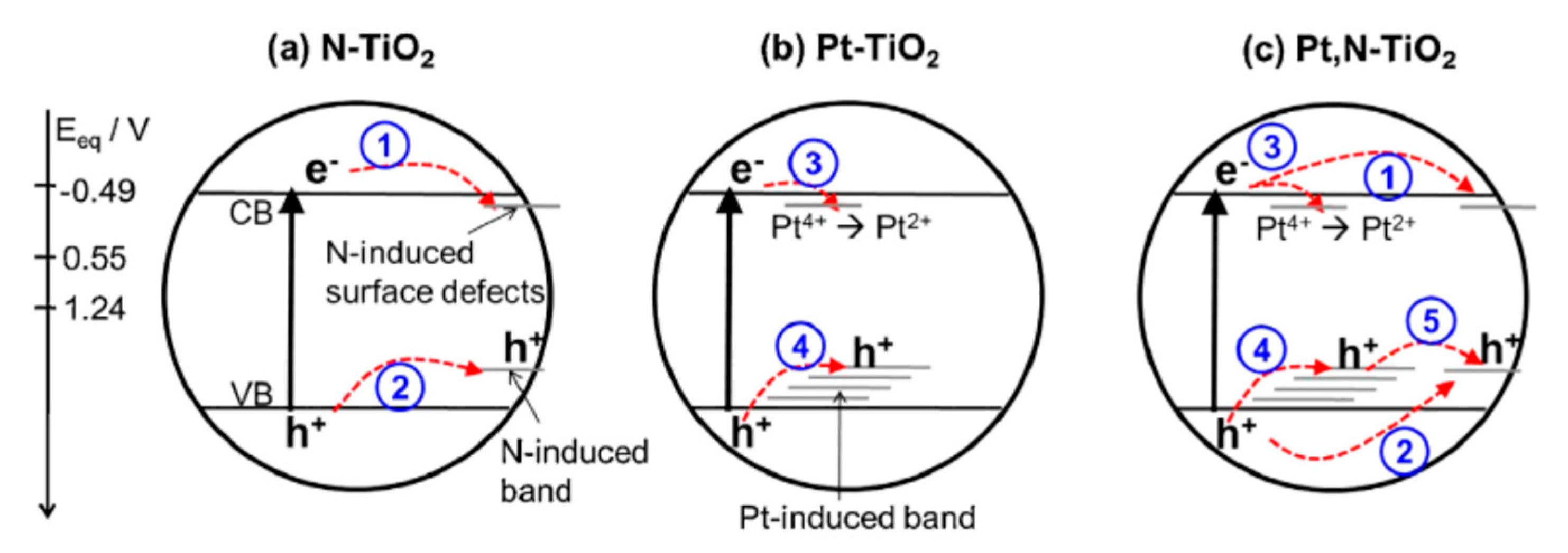 Catalysts 10 01464 g017