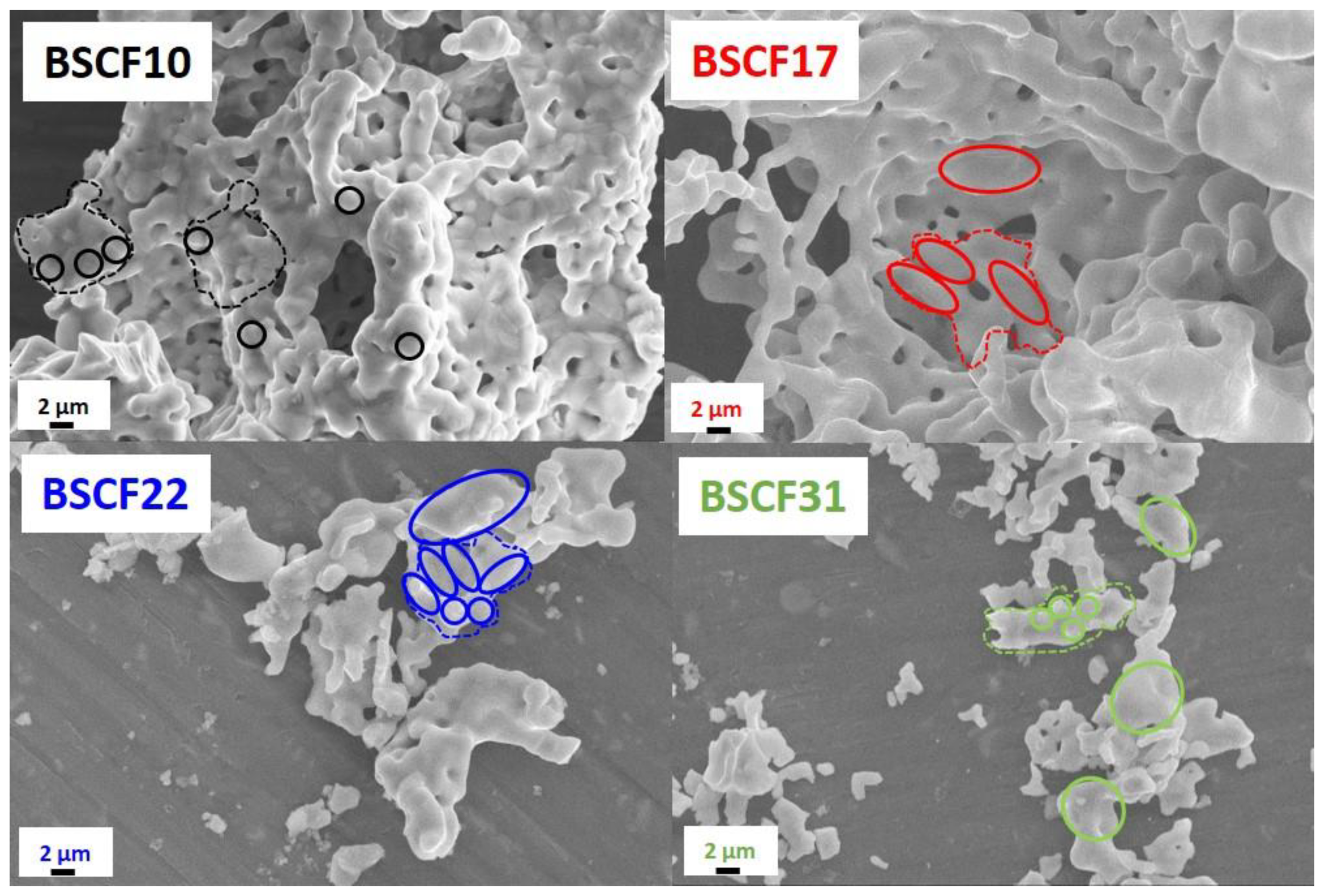 Catalysts 10 01465 g004 Catalysts 10 01465 g004