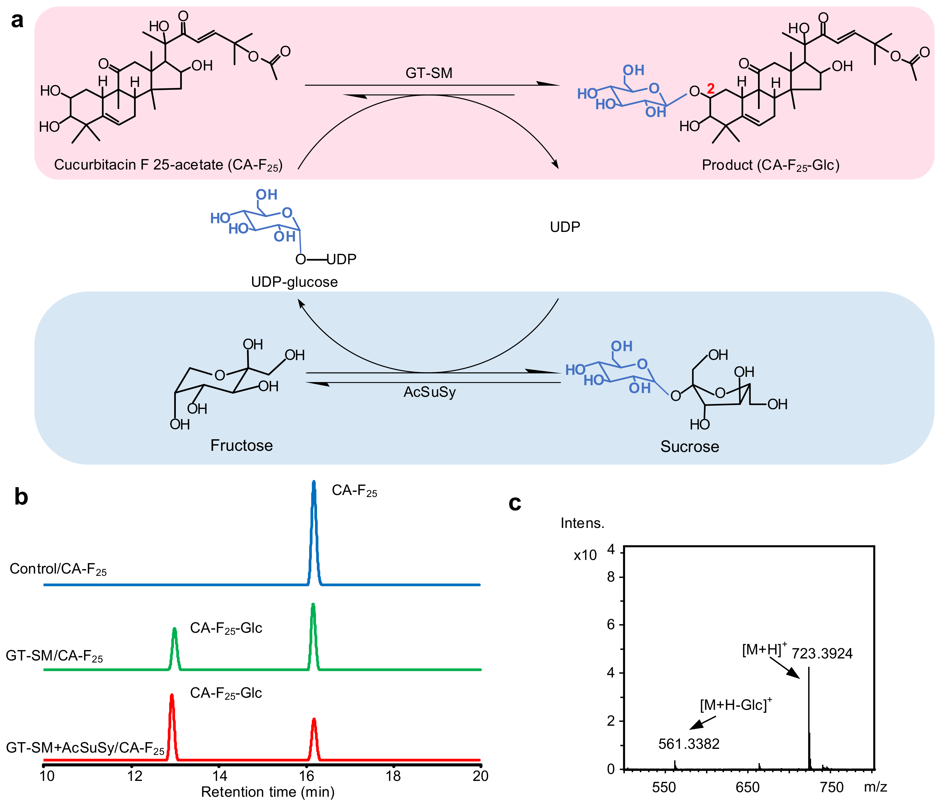 Catalysts 10 01466 g003 Catalysts 10 01466 g003