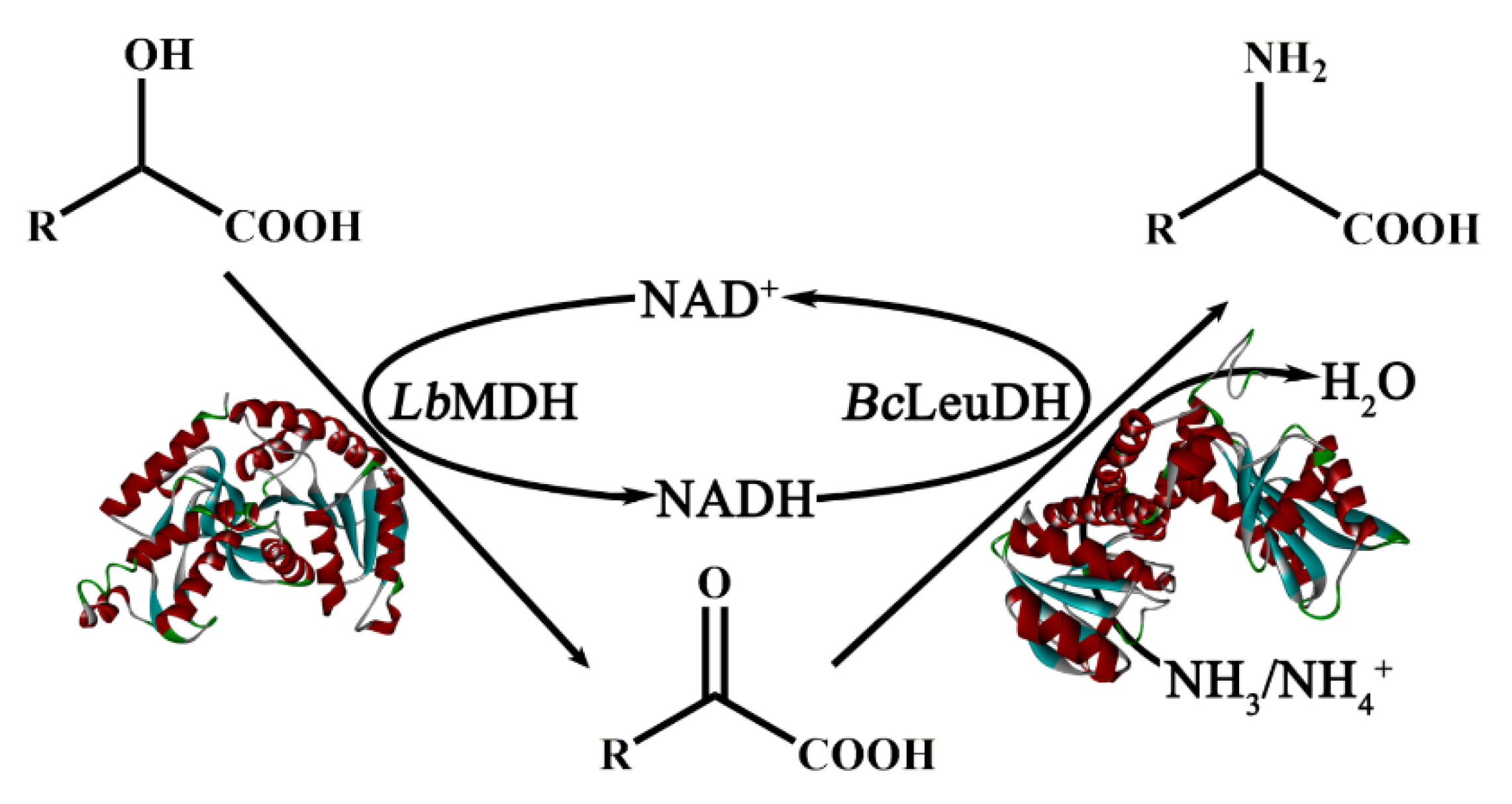 Catalysts 10 01470 g001 Catalysts 10 01470 g001