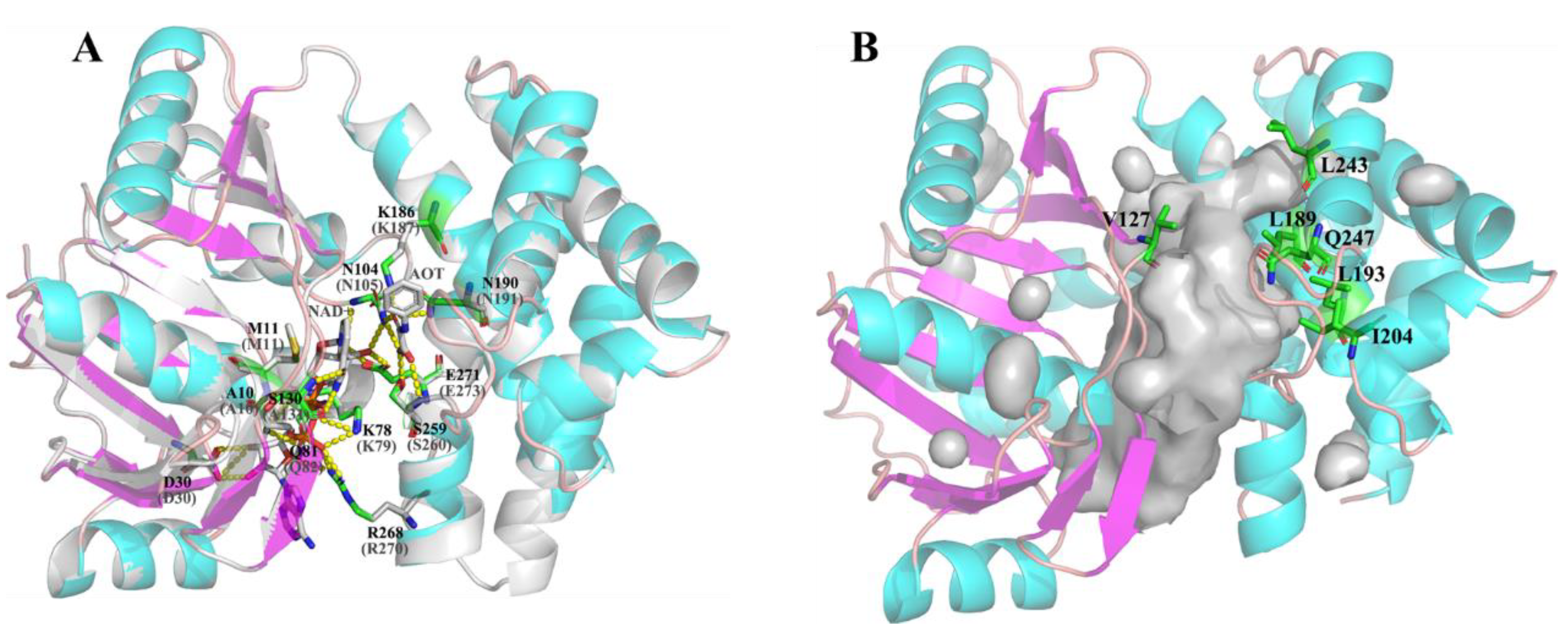 Catalysts 10 01470 g002 Catalysts 10 01470 g002