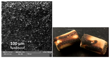 Catalysts 10 01476 i004 Catalysts 10 01476 i004