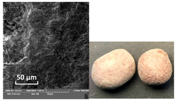 Catalysts 10 01476 i005 Catalysts 10 01476 i005