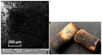 Catalysts 10 01476 i010 Catalysts 10 01476 i010