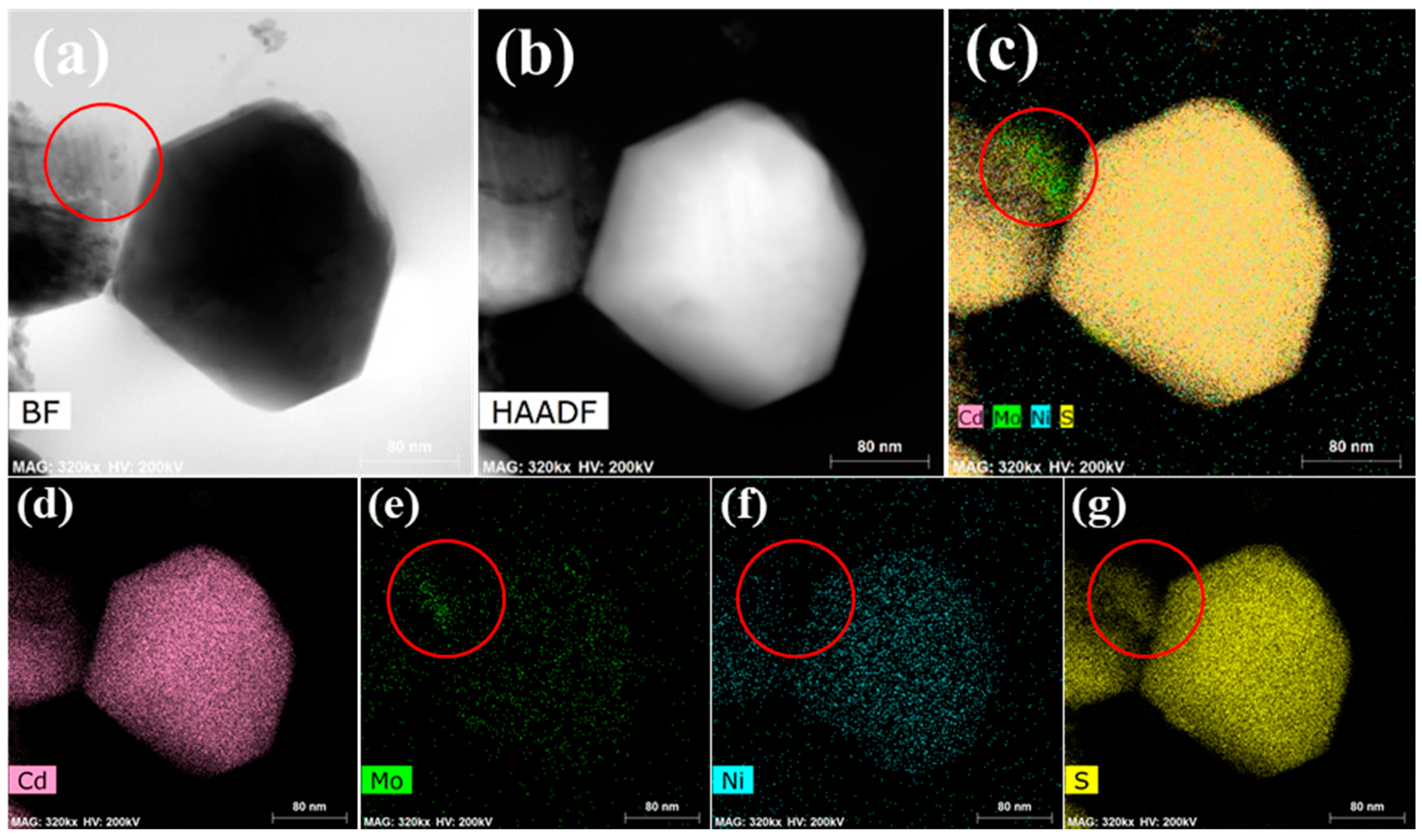 Catalysts 10 01478 g004