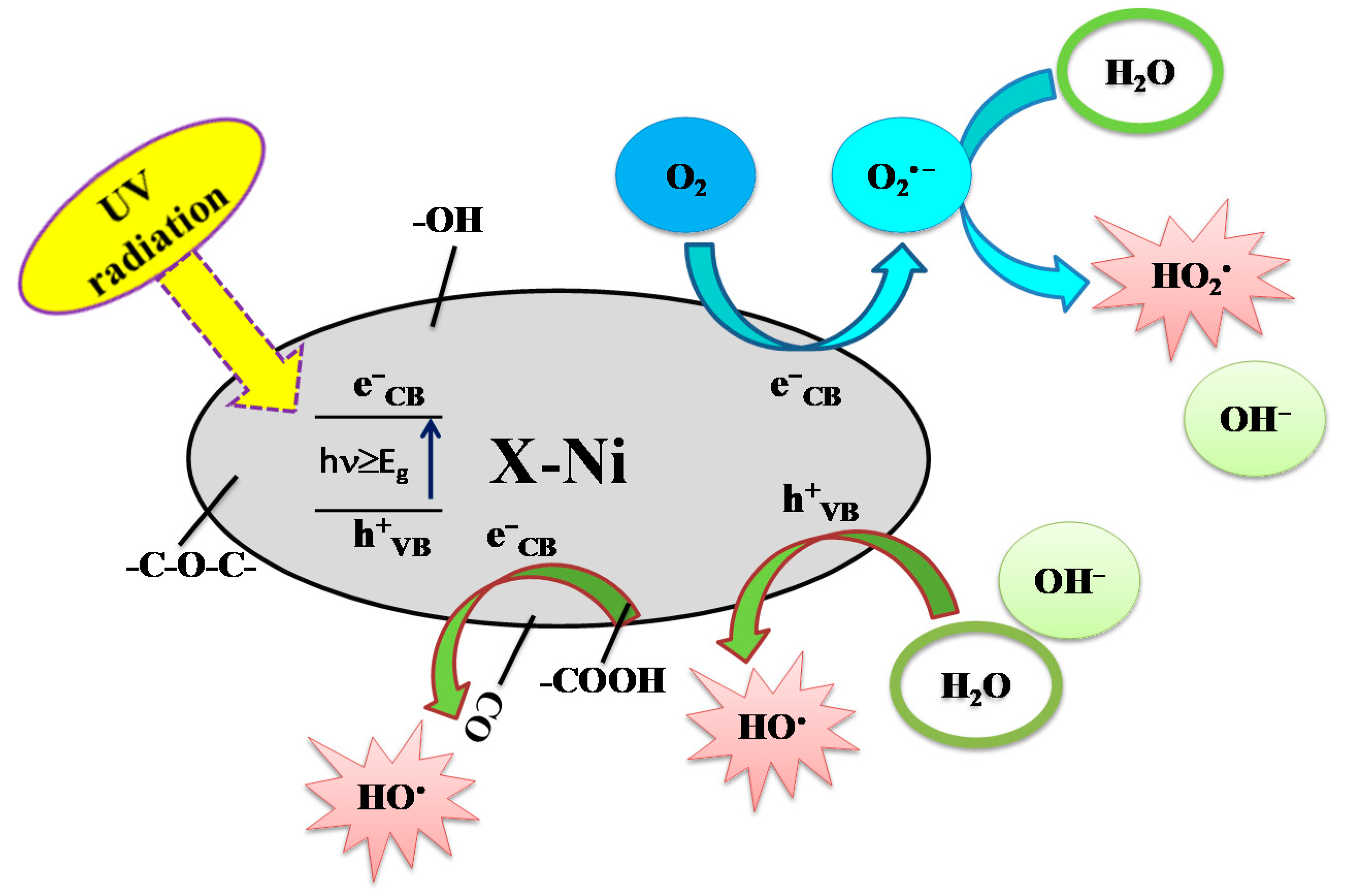 Catalysts 10 01485 g007 Catalysts 10 01485 g007