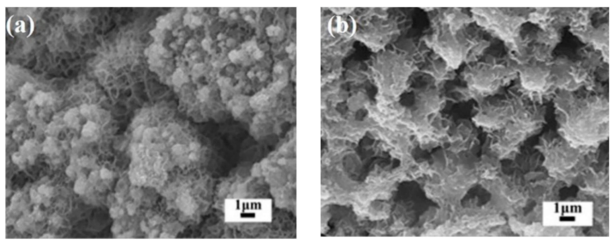 Catalysts 10 01486 g005 Catalysts 10 01486 g005