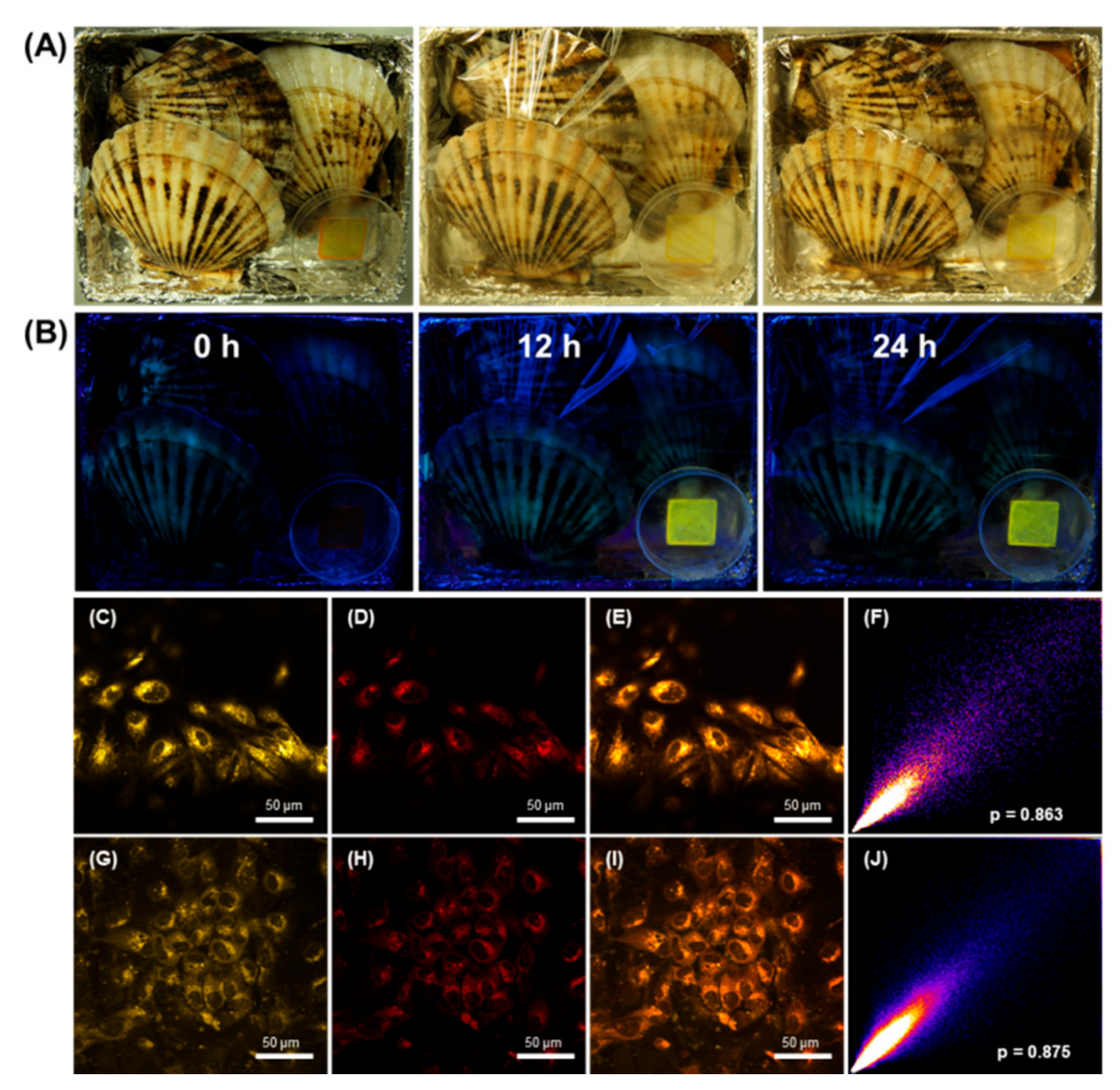 Catalysts 11 00001 g002