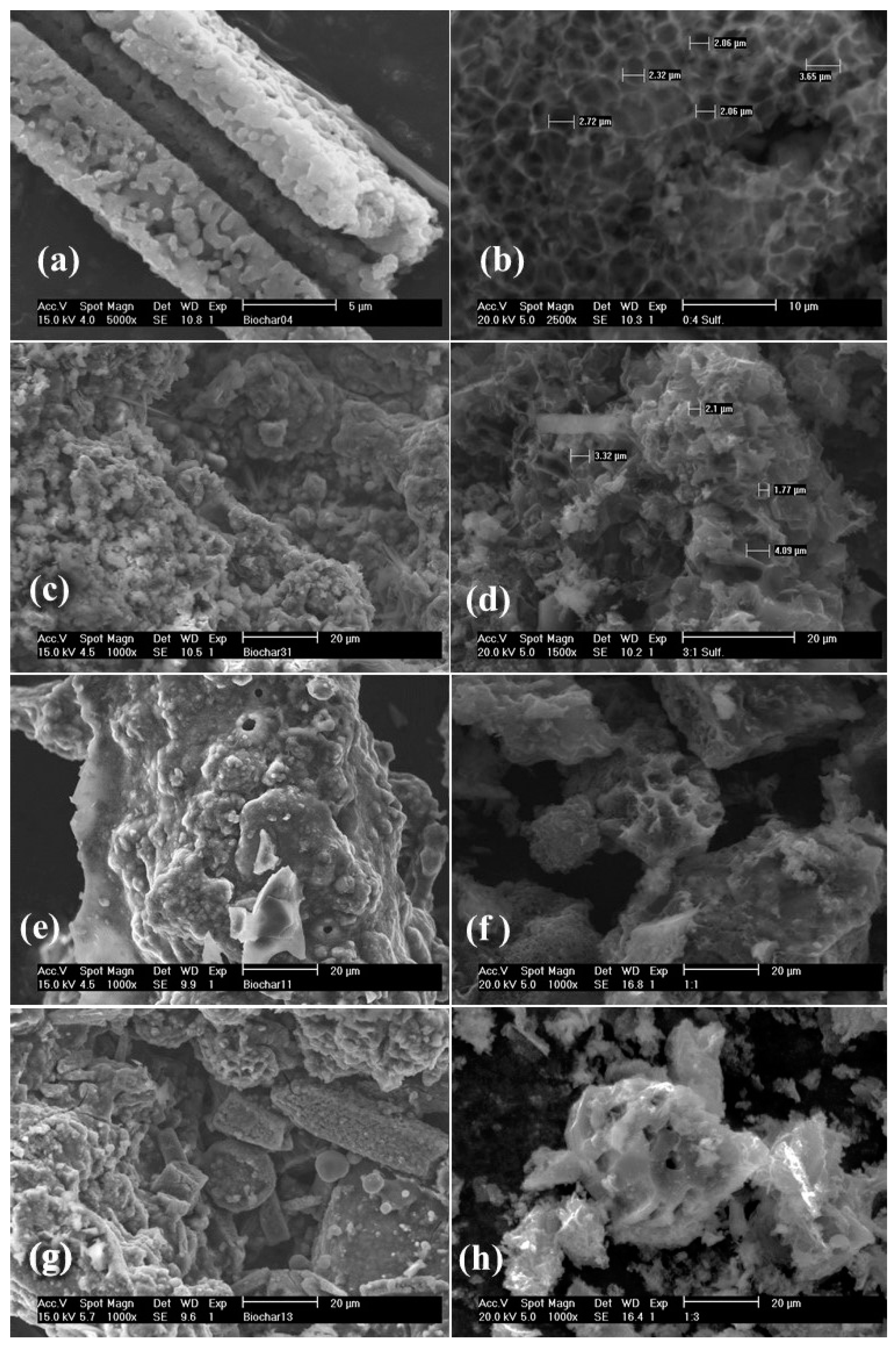 Catalysts 11 00003 g003