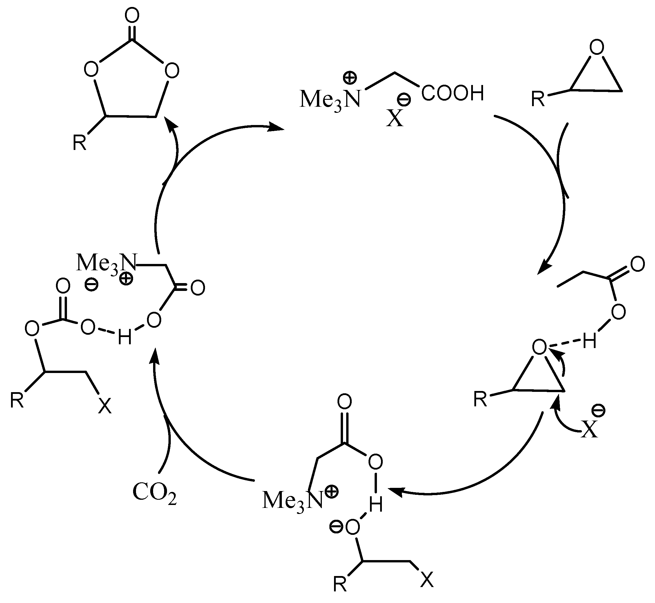 Catalysts 11 00004 sch006